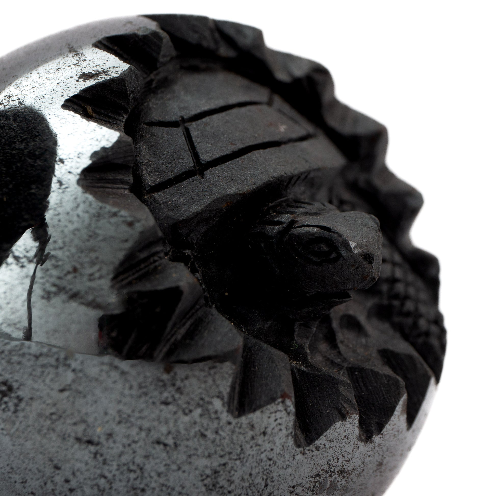 Turtle in Egg - Hematite