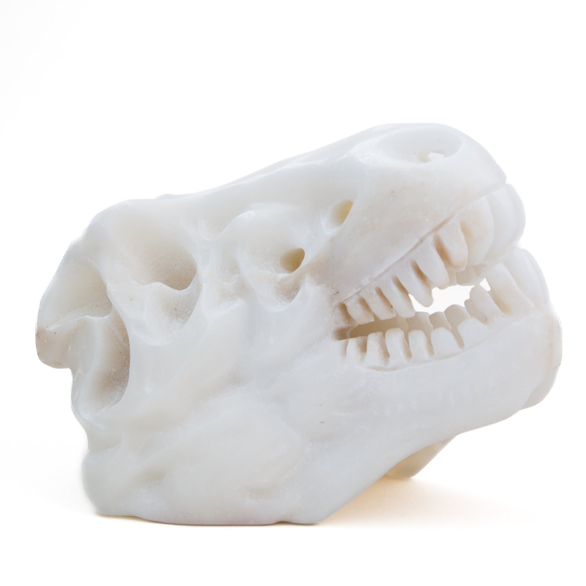 Dinosaur Skull - Calcite