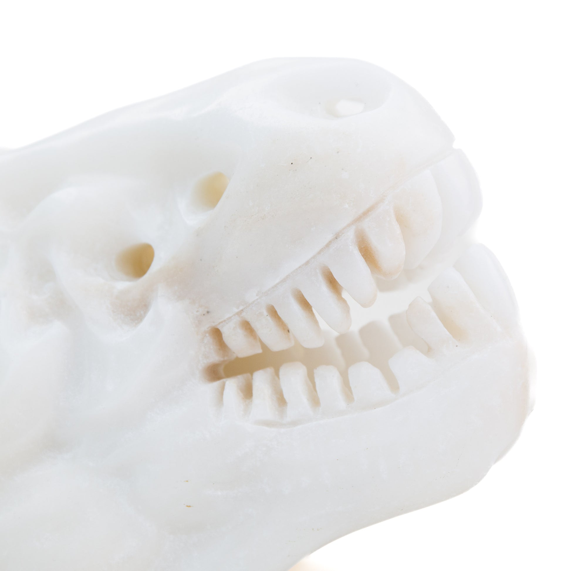 Dinosaur Skull - Calcite