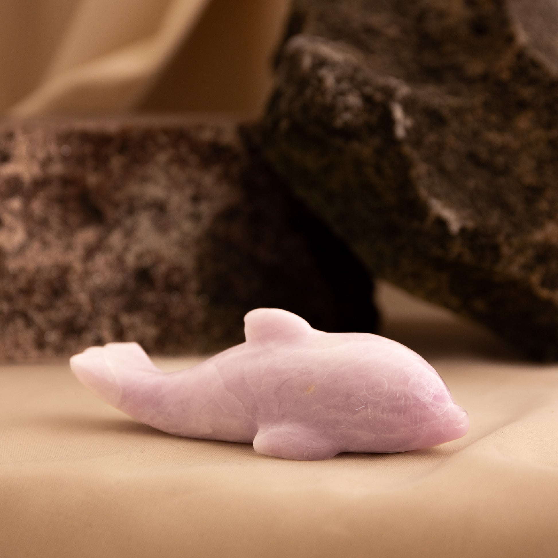 Kunzite - Dolphin