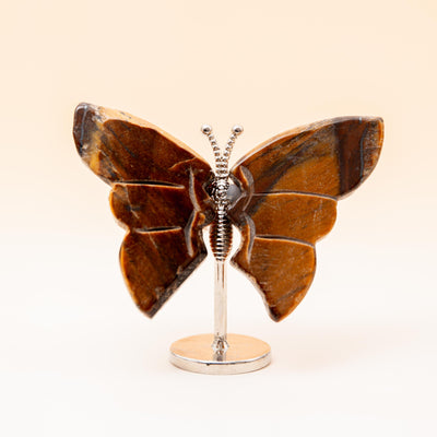 Tigrisszem Pillangó (állvánnyal) – 6 cm (A12)