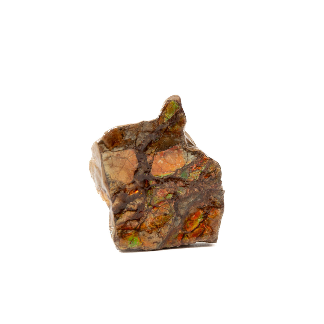 Ammolite