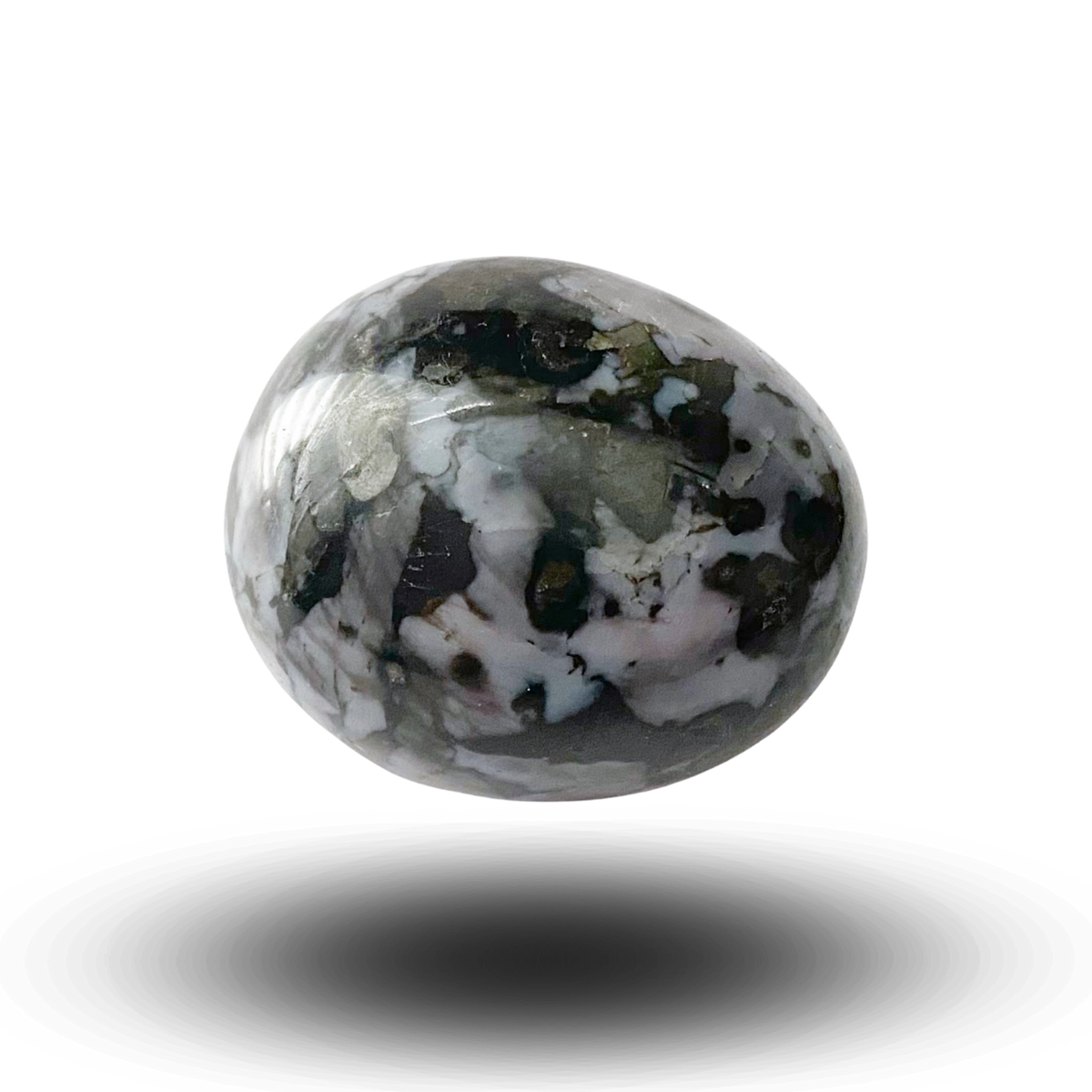 Indigo Gabbro