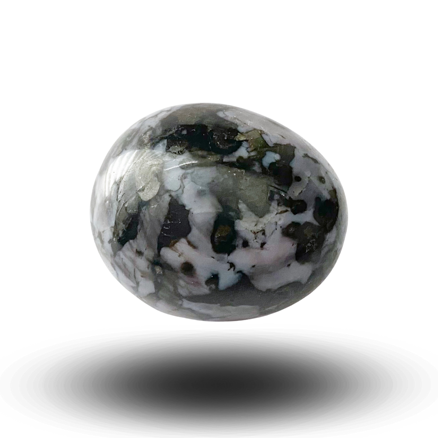 Indigo Gabbro