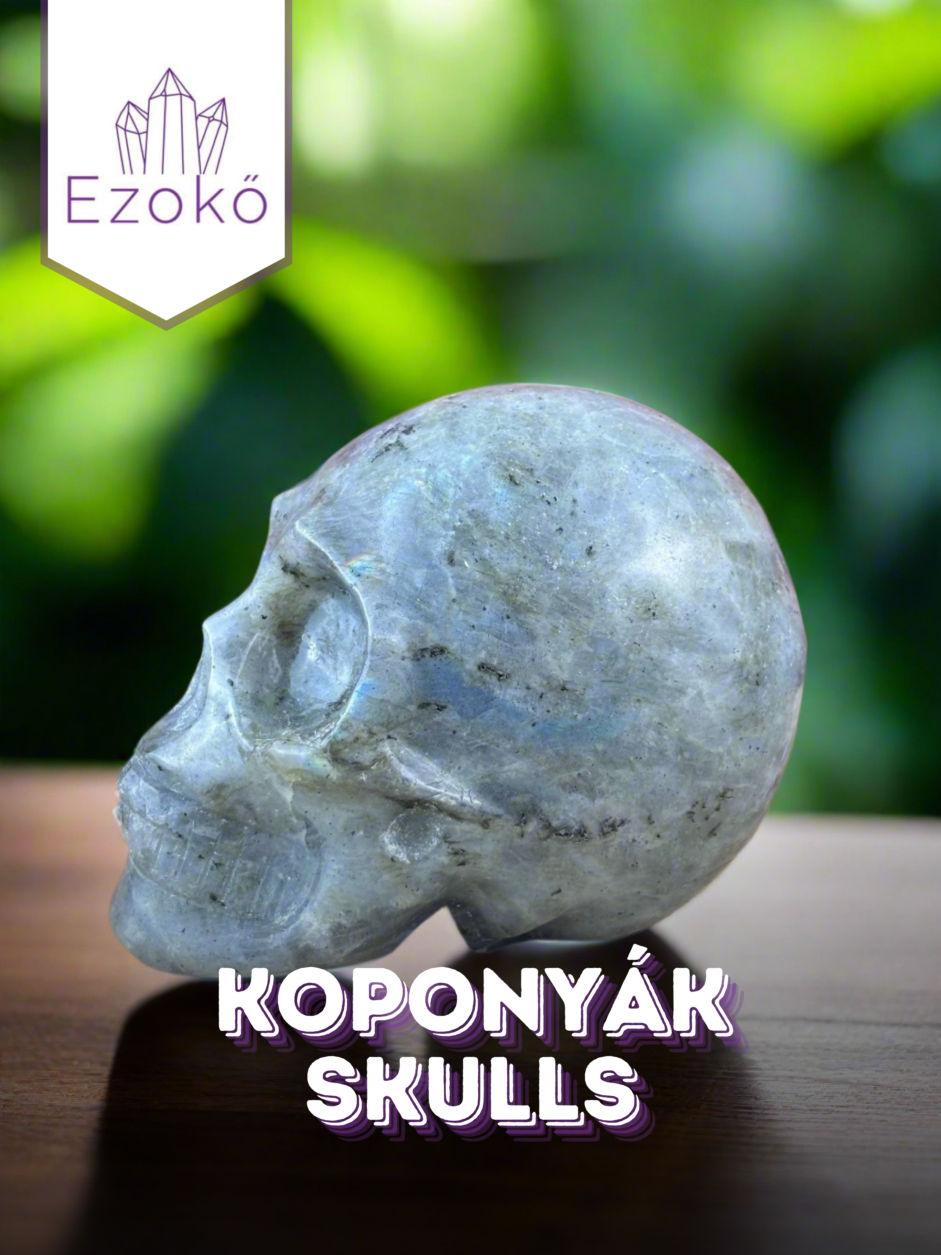 Koponyák / Skulls
