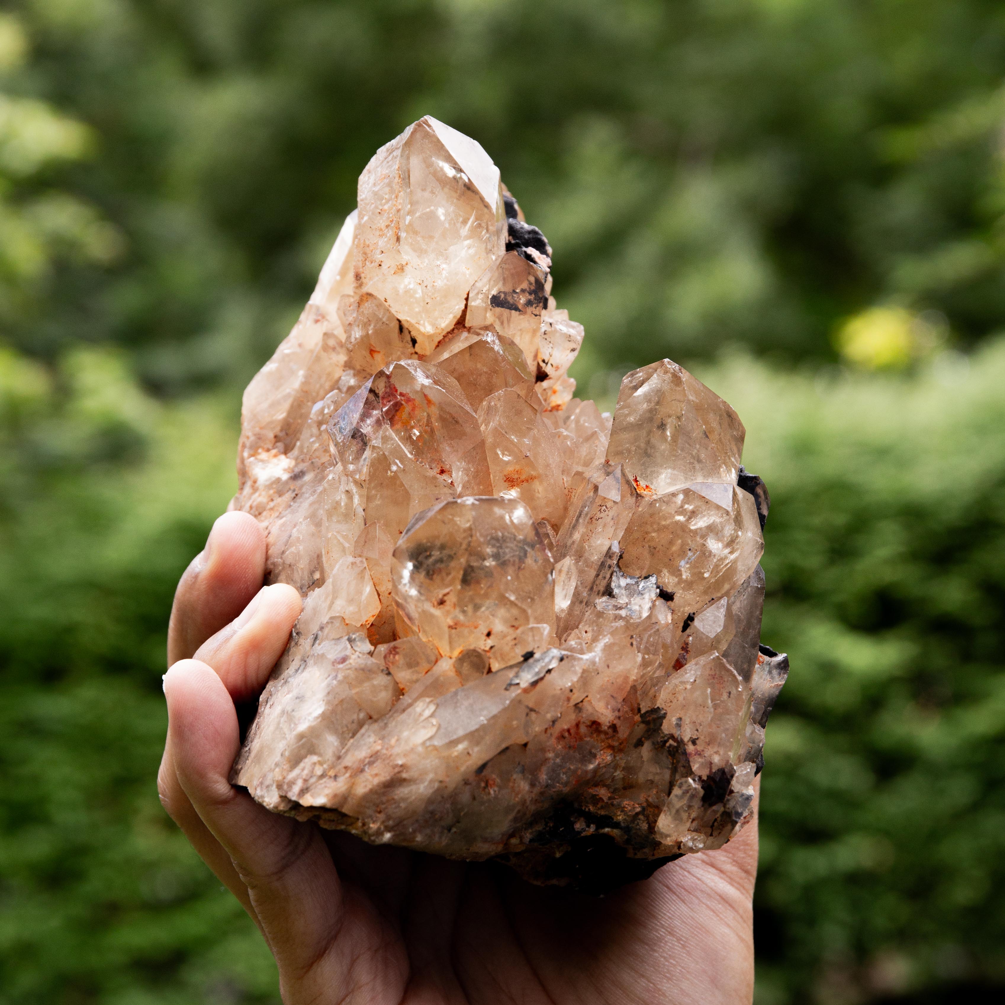 Natural Citrine Congo - 1774g/14cm (C)