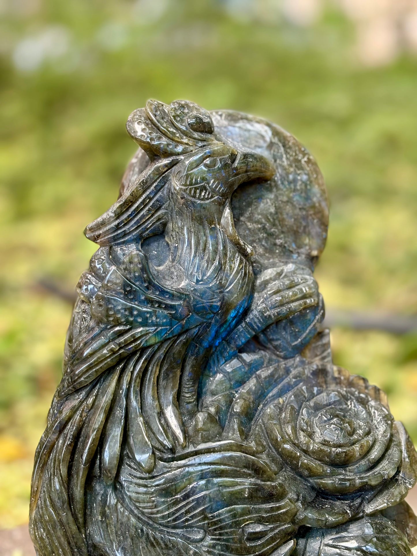 Phoenix (Labradorite) 🐦‍🔥/ Főnix (labradorit)