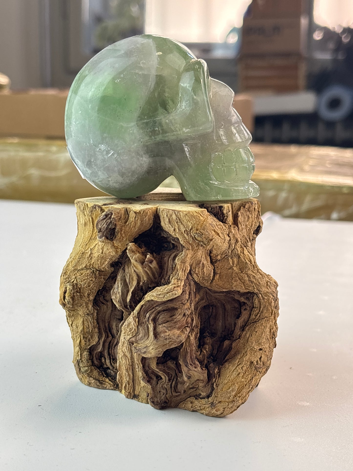 Fluorite Skull 💀