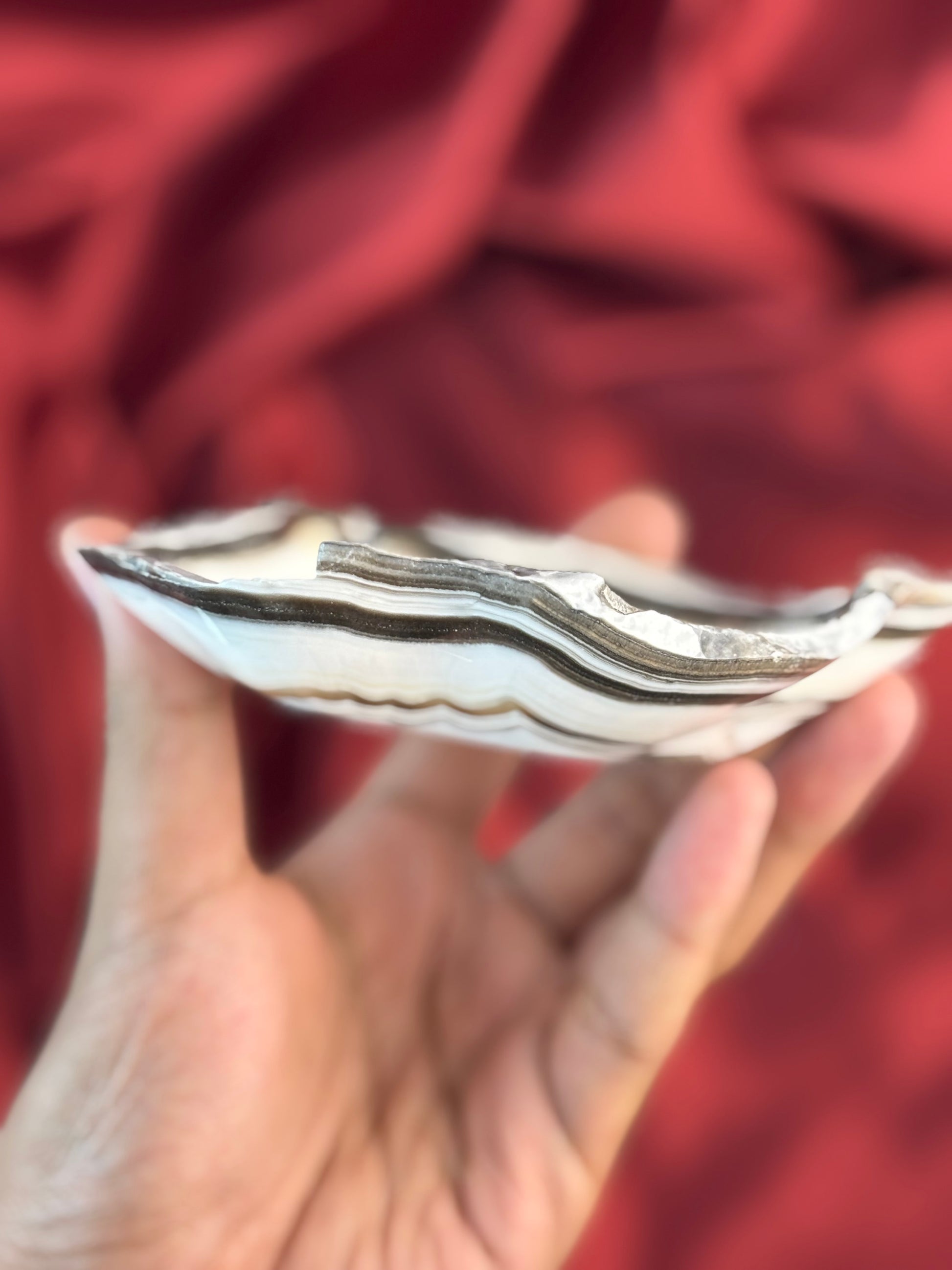 Aragonit Zebra