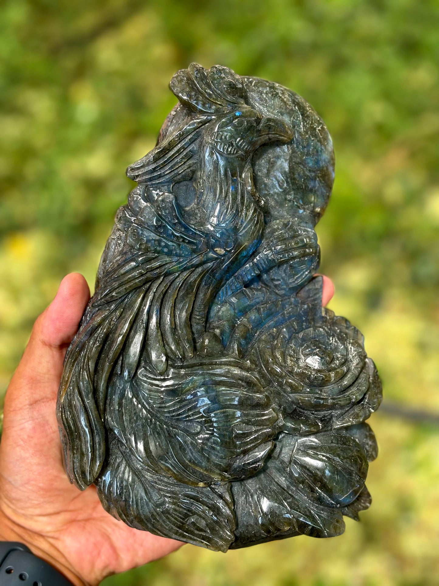 Phoenix (Labradorite) 🐦‍🔥/ Főnix (labradorit)