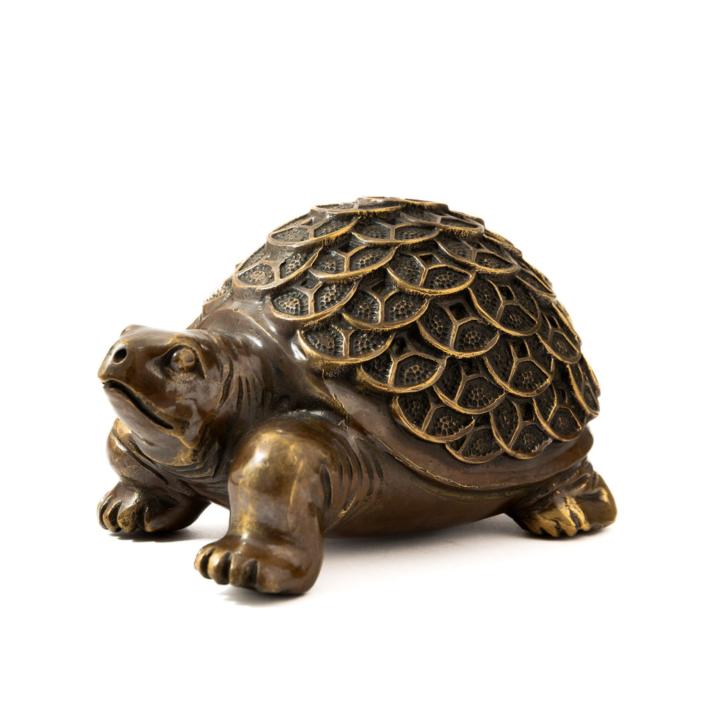 Chinese Money Turtle - Brass