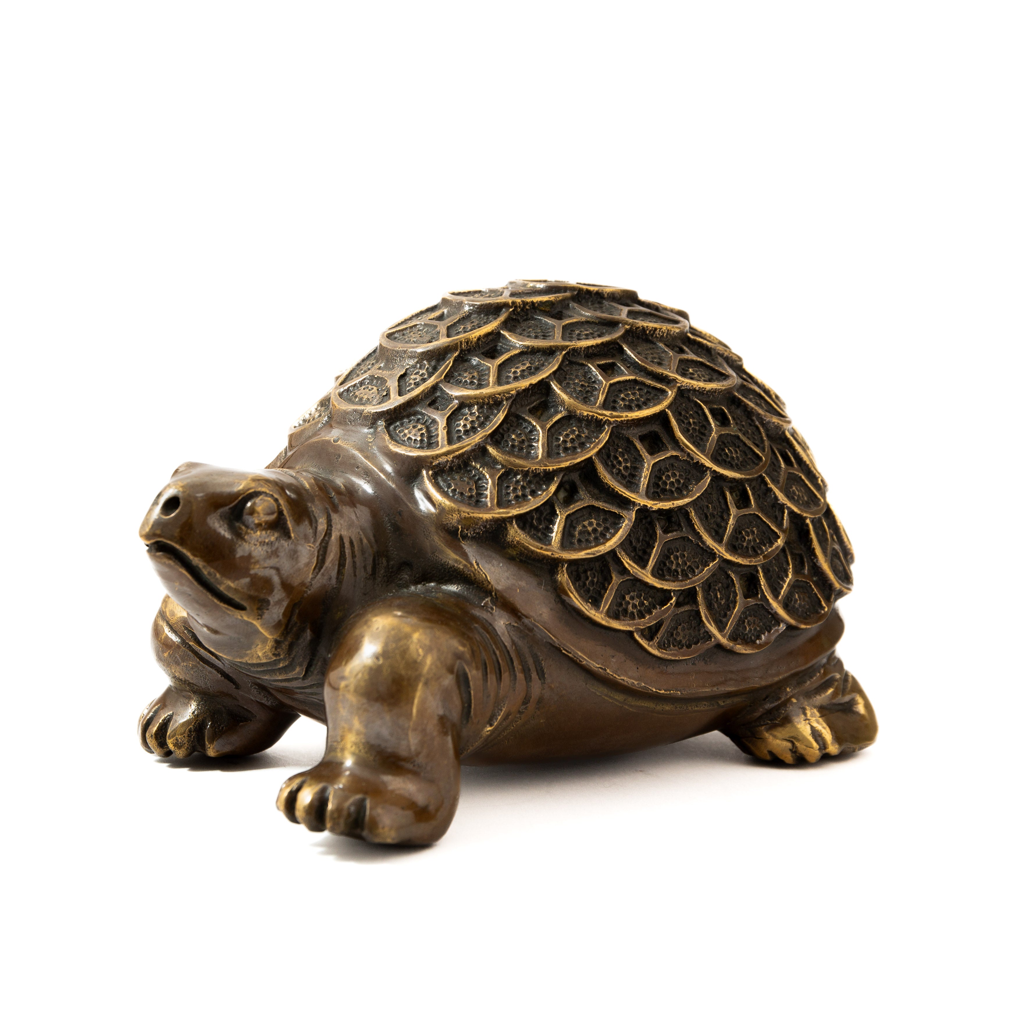 Chinese Money Turtle - Brass