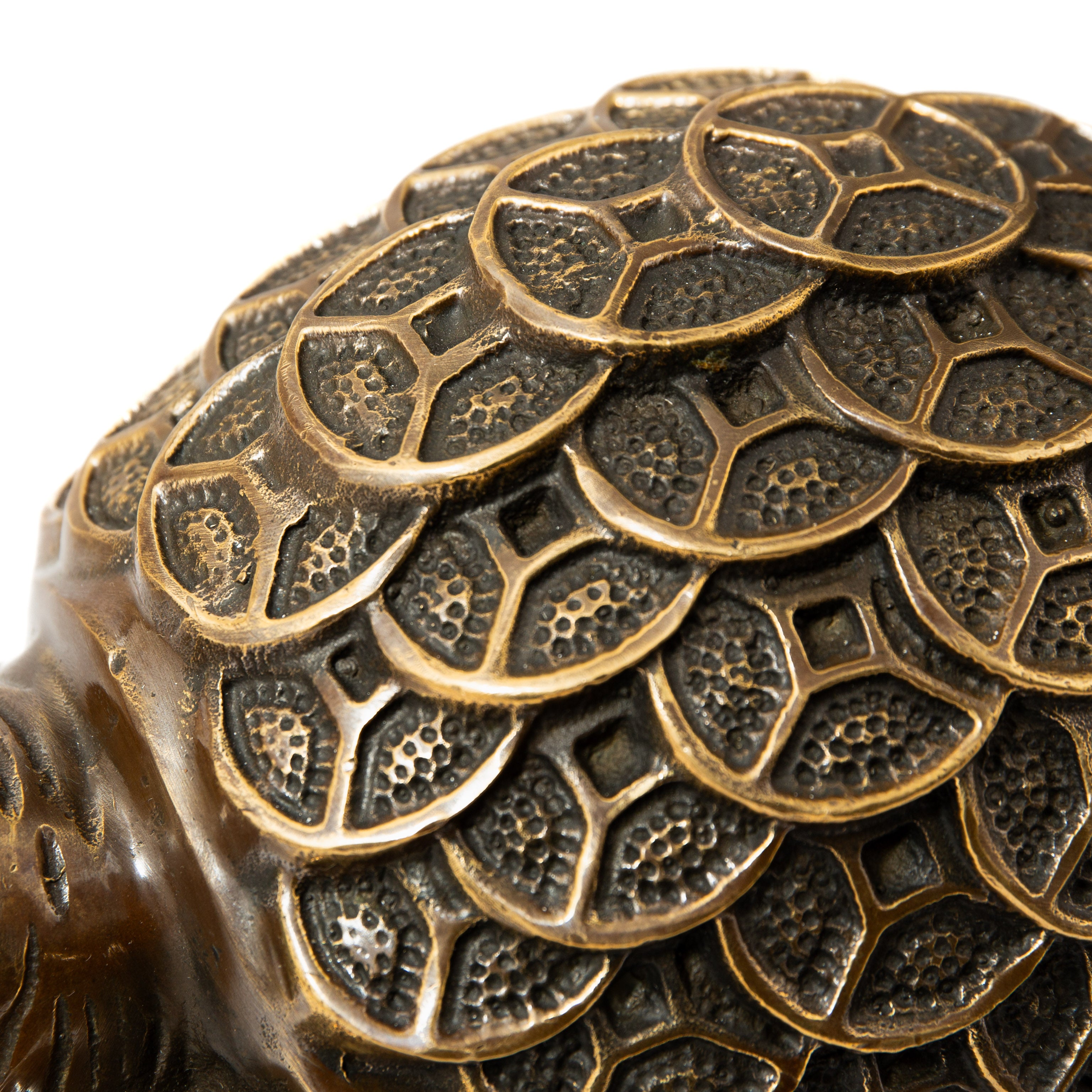 Chinese Money Turtle - Brass
