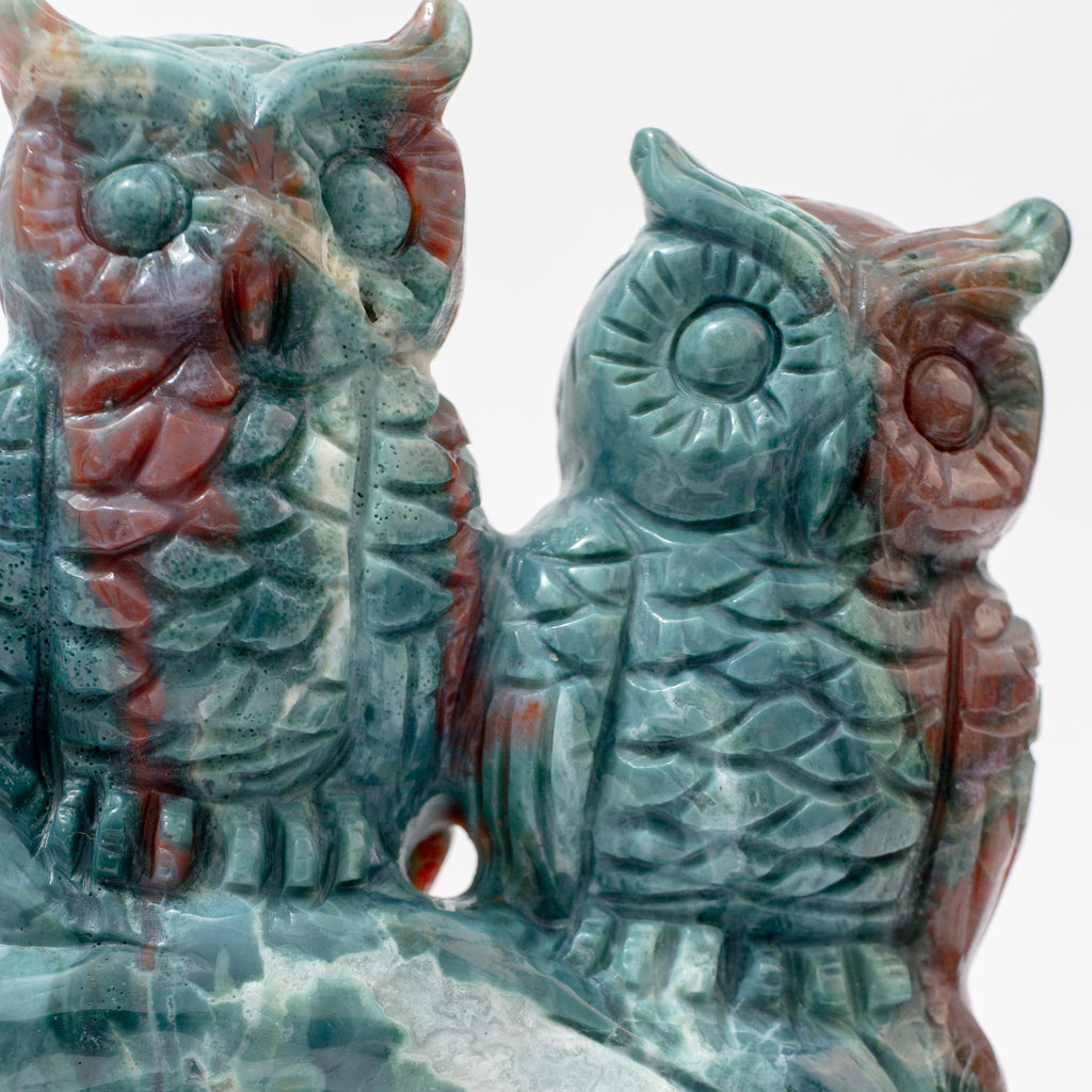 Owl - Indian Agate
