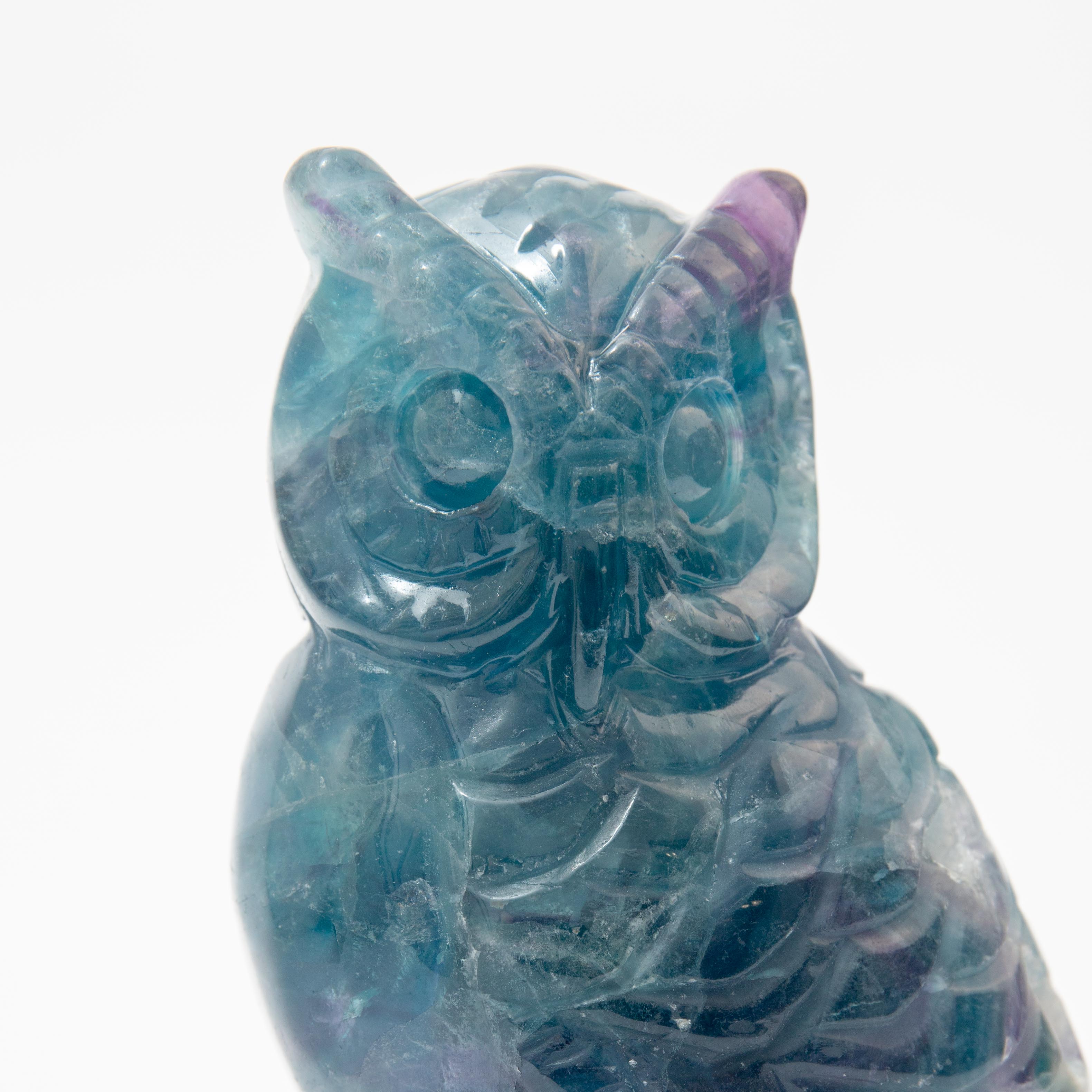 Owl - Fluorite