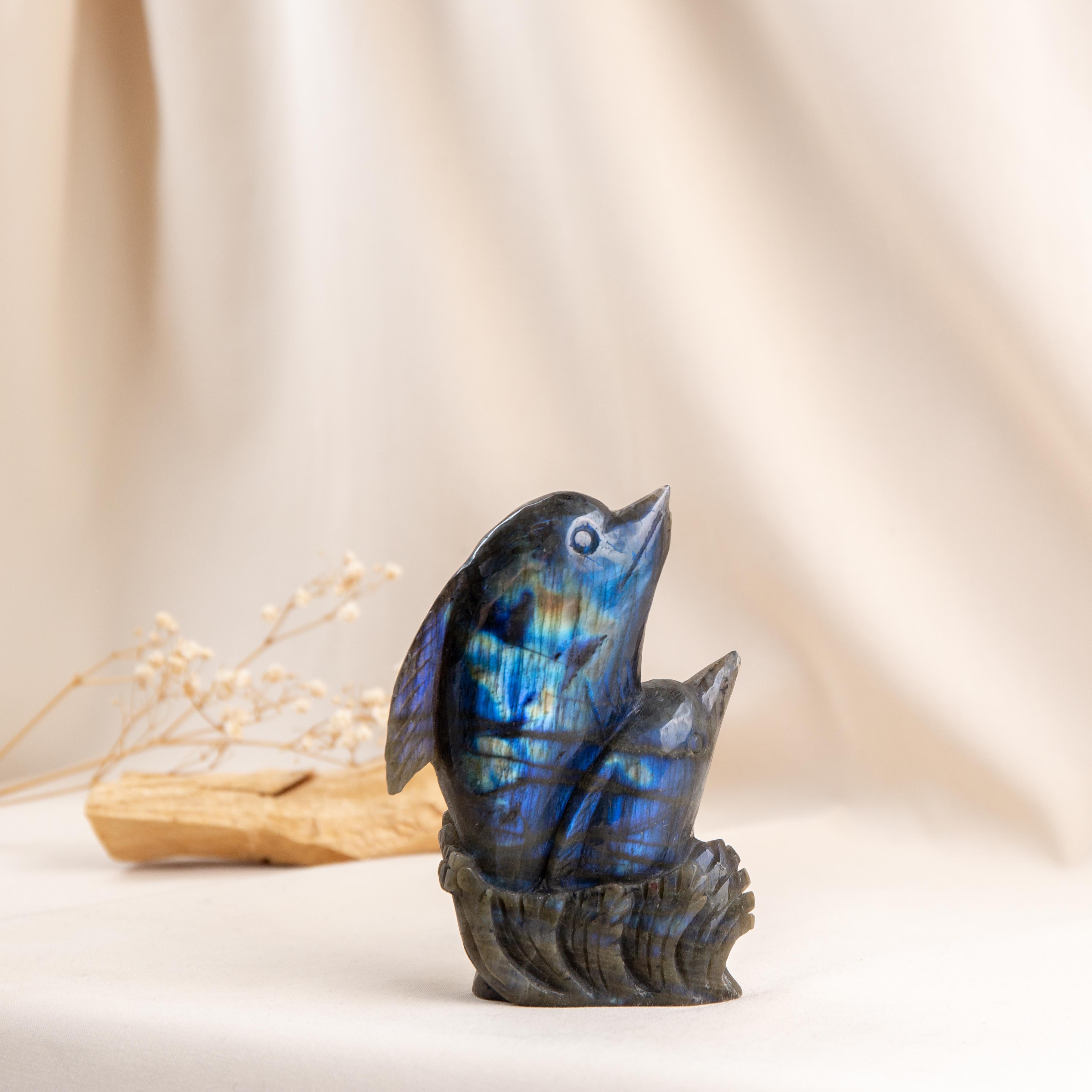 Dolphin - Labradorite