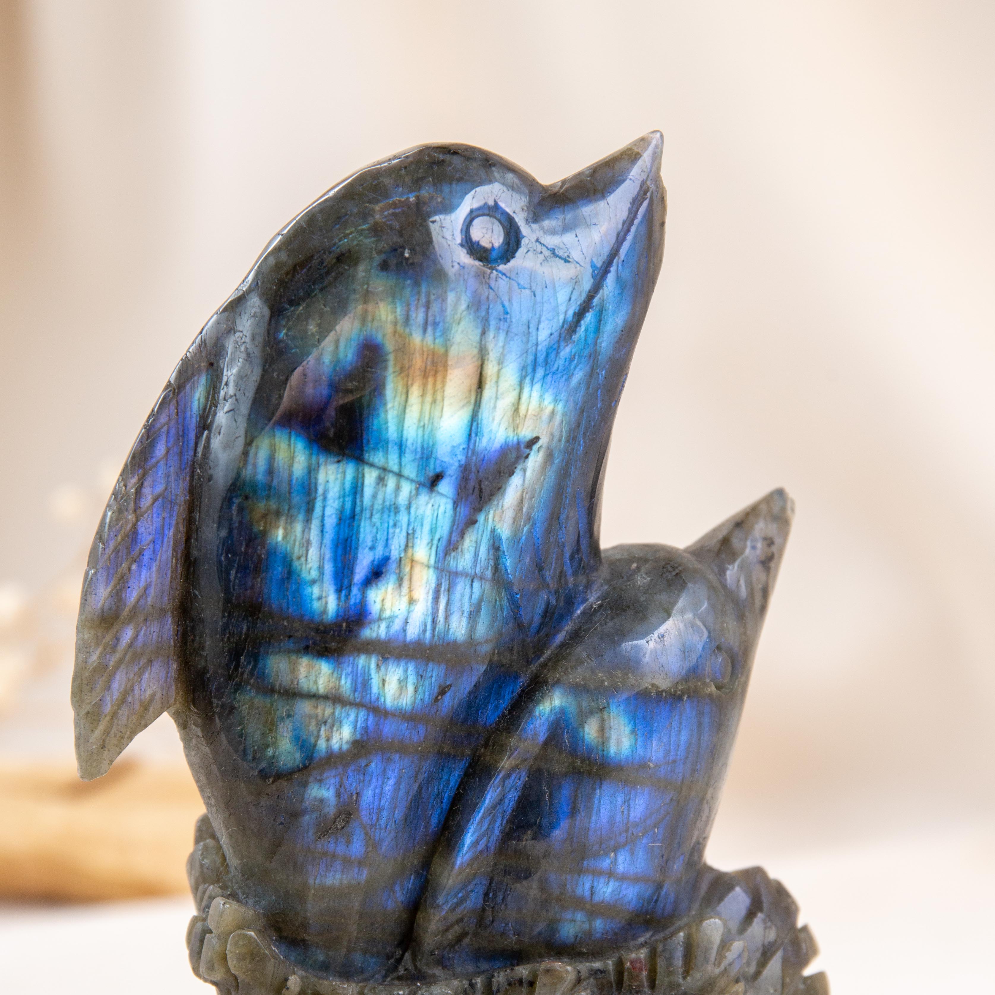Dolphin - Labradorite