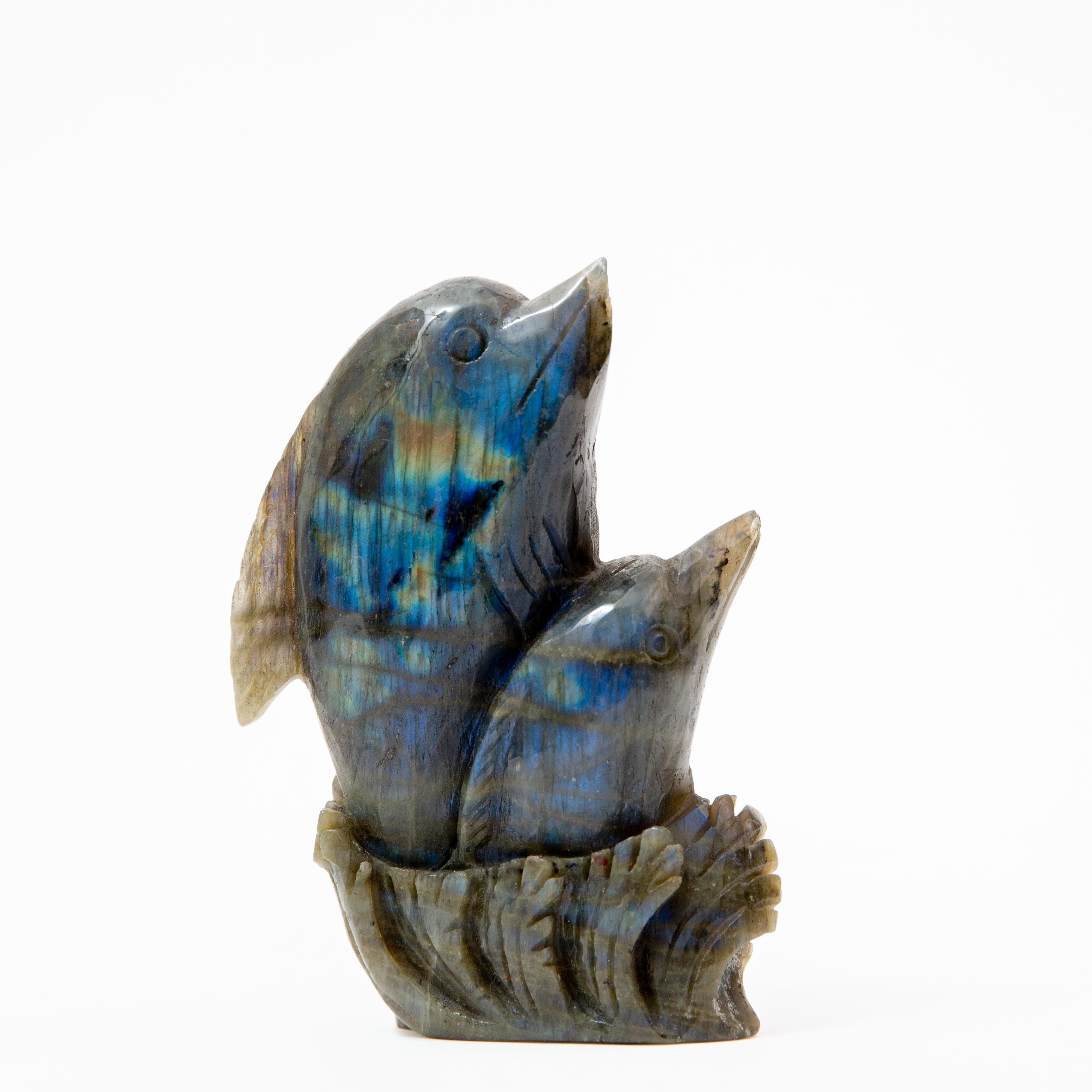 Dolphin - Labradorite