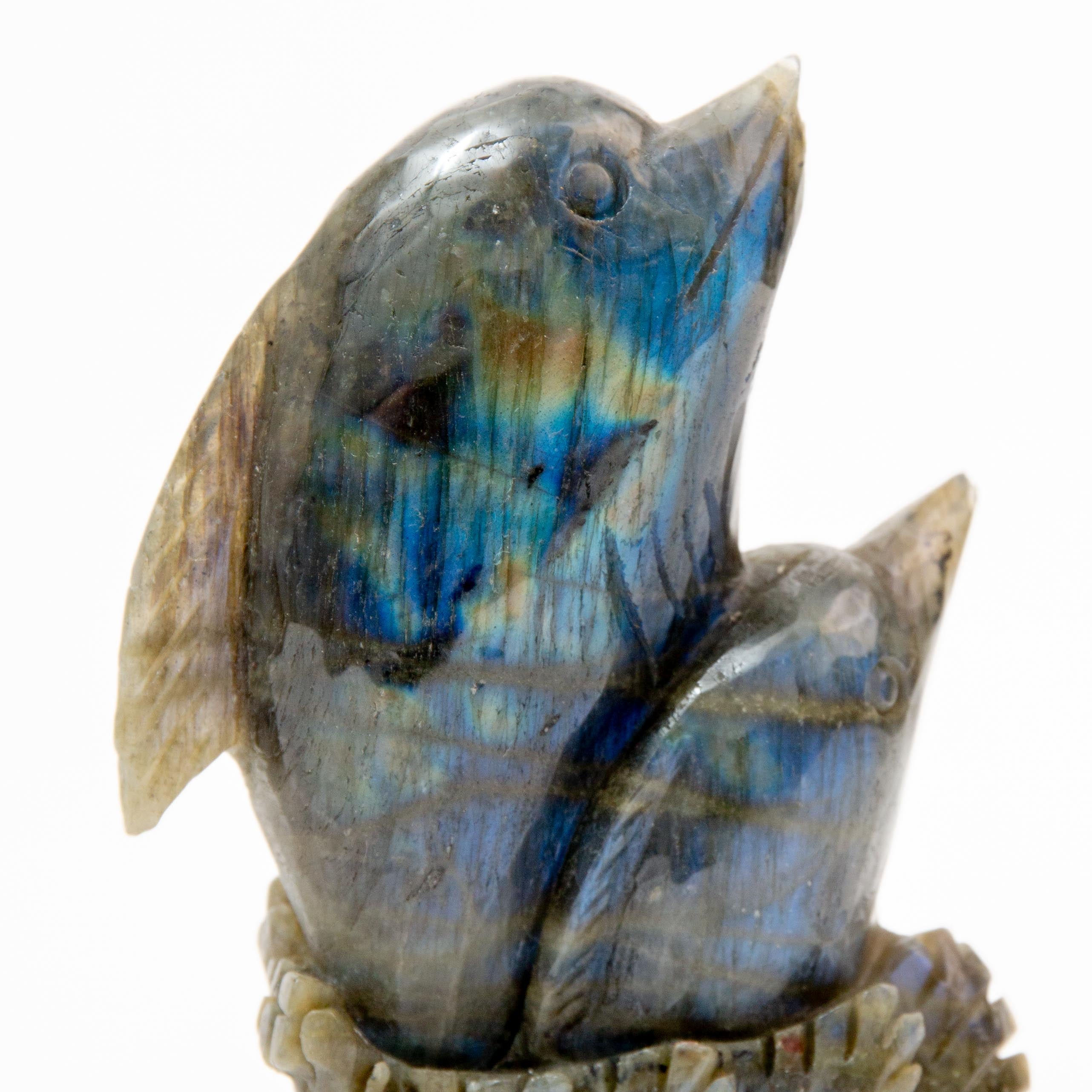 Dolphin - Labradorite