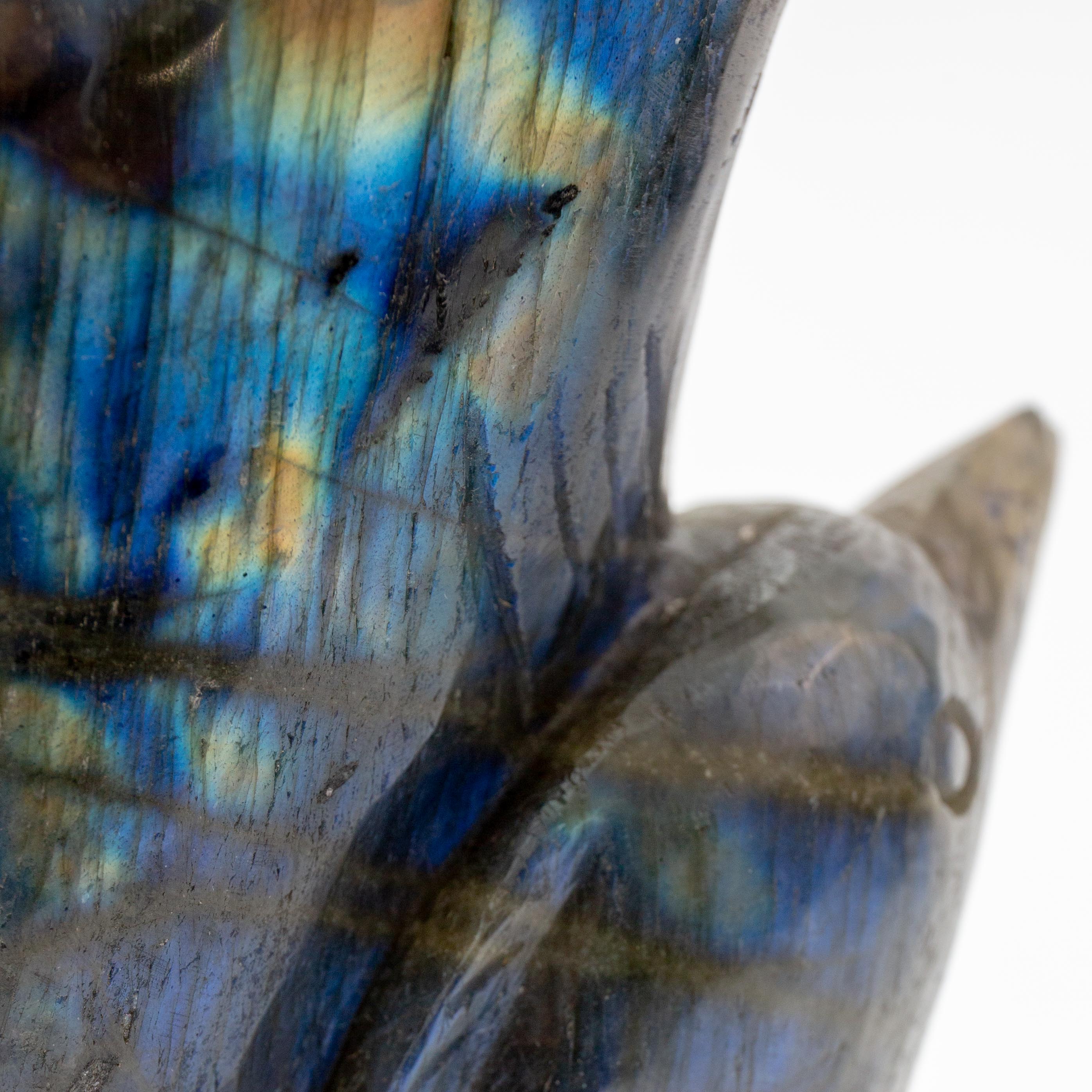 Dolphin - Labradorite