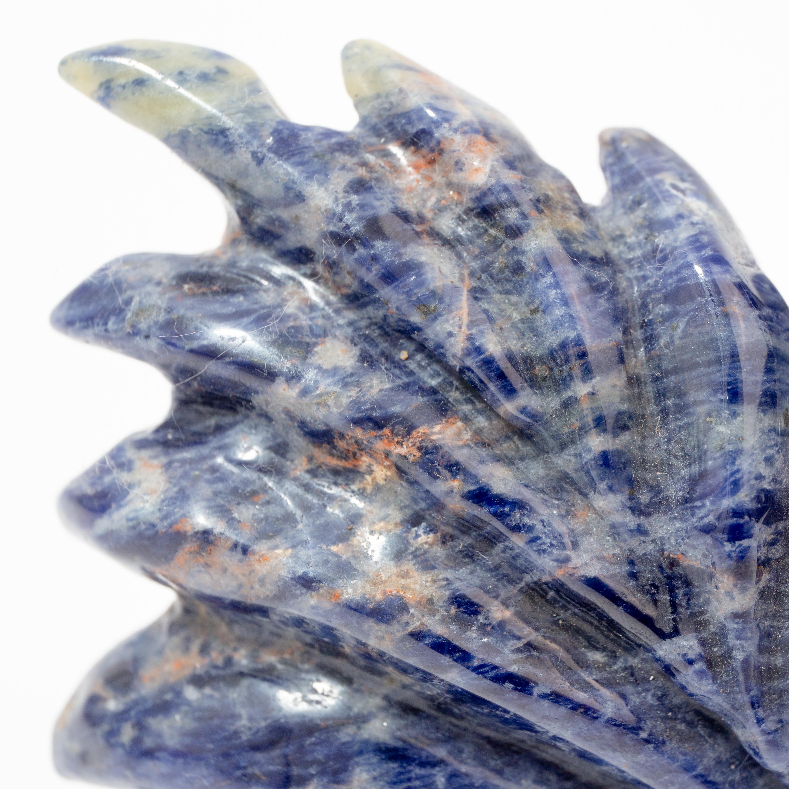 Nine-Tailed Fox - Sodalite