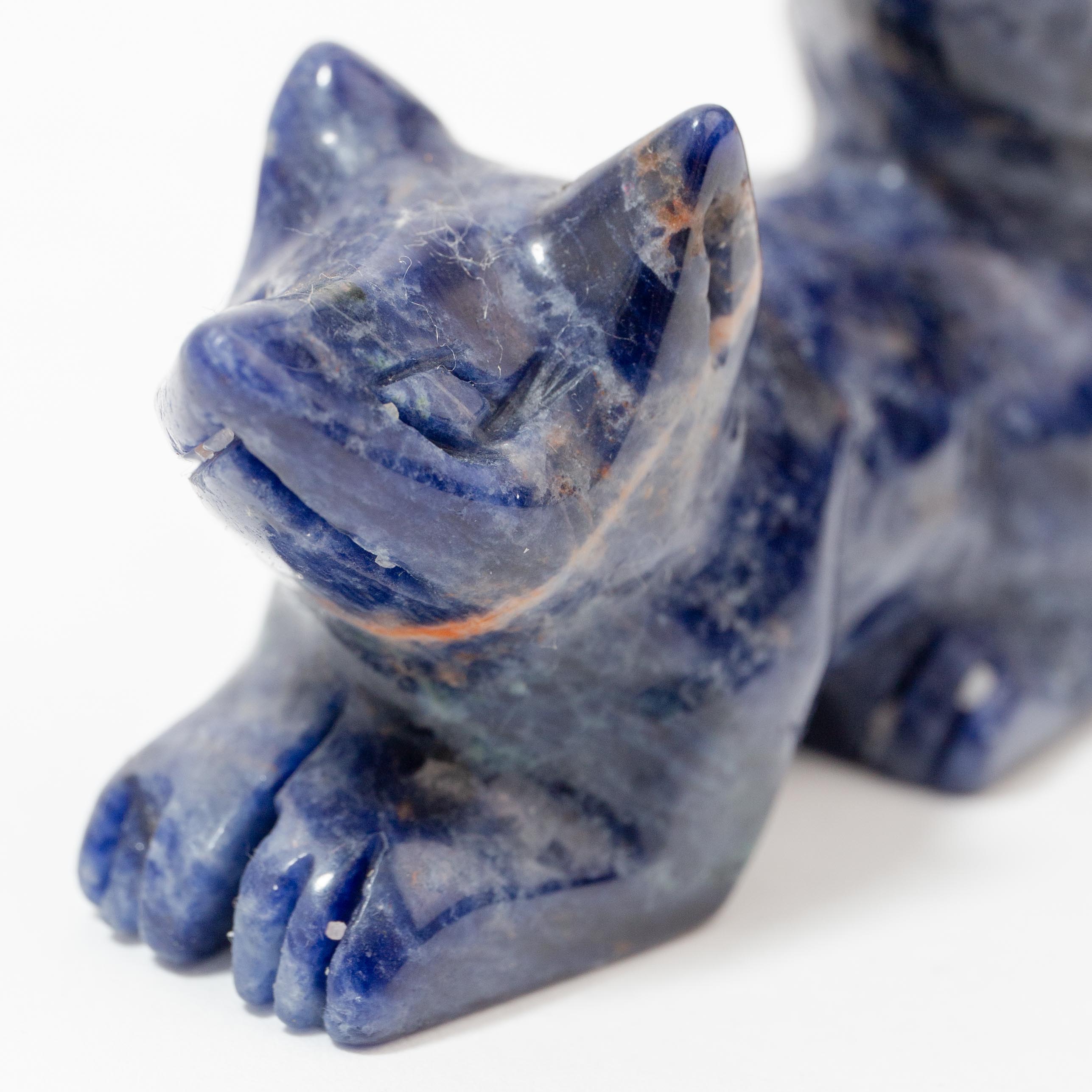 Nine-Tailed Fox - Sodalite