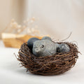 Bird in Nest - Pyrite