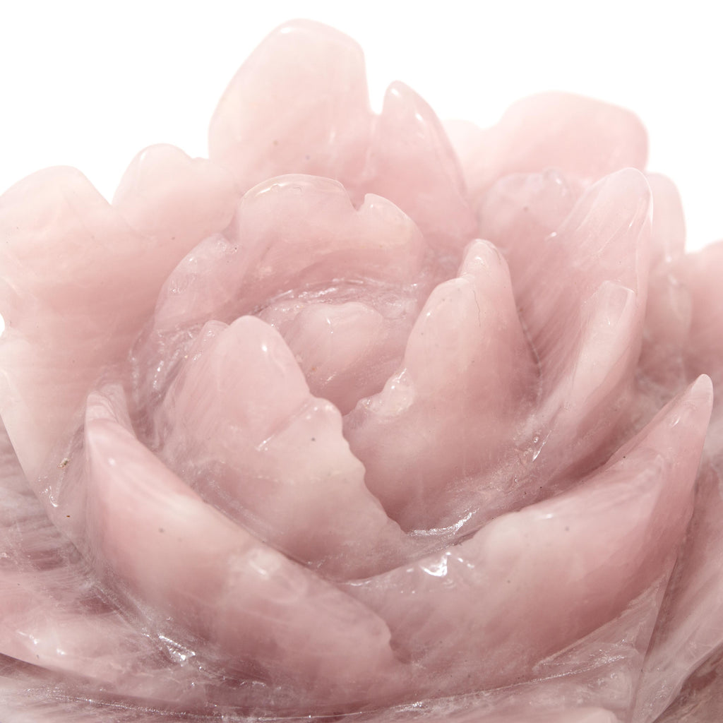 Rose - Rose Quartz