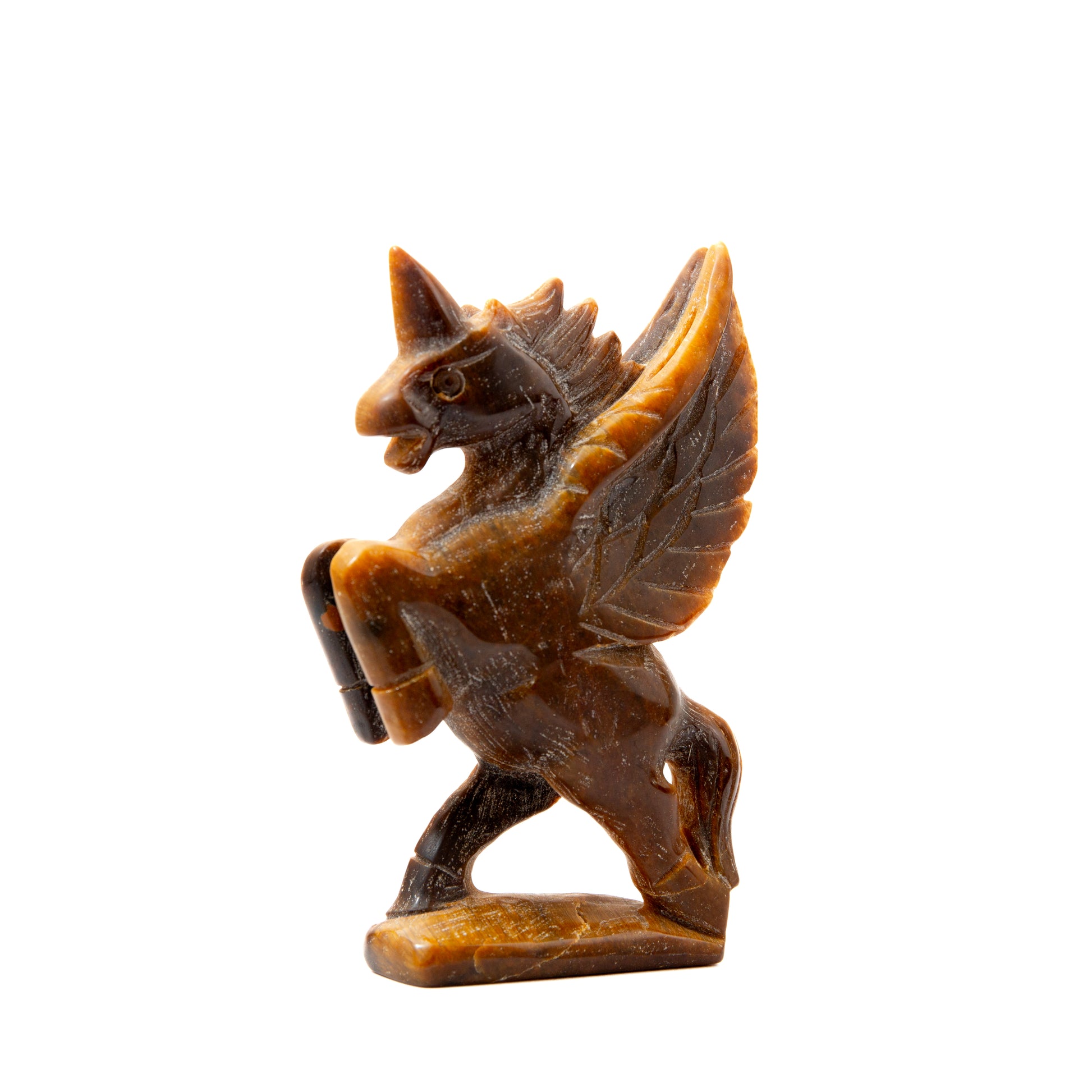 Alicorn - Tiger Eye