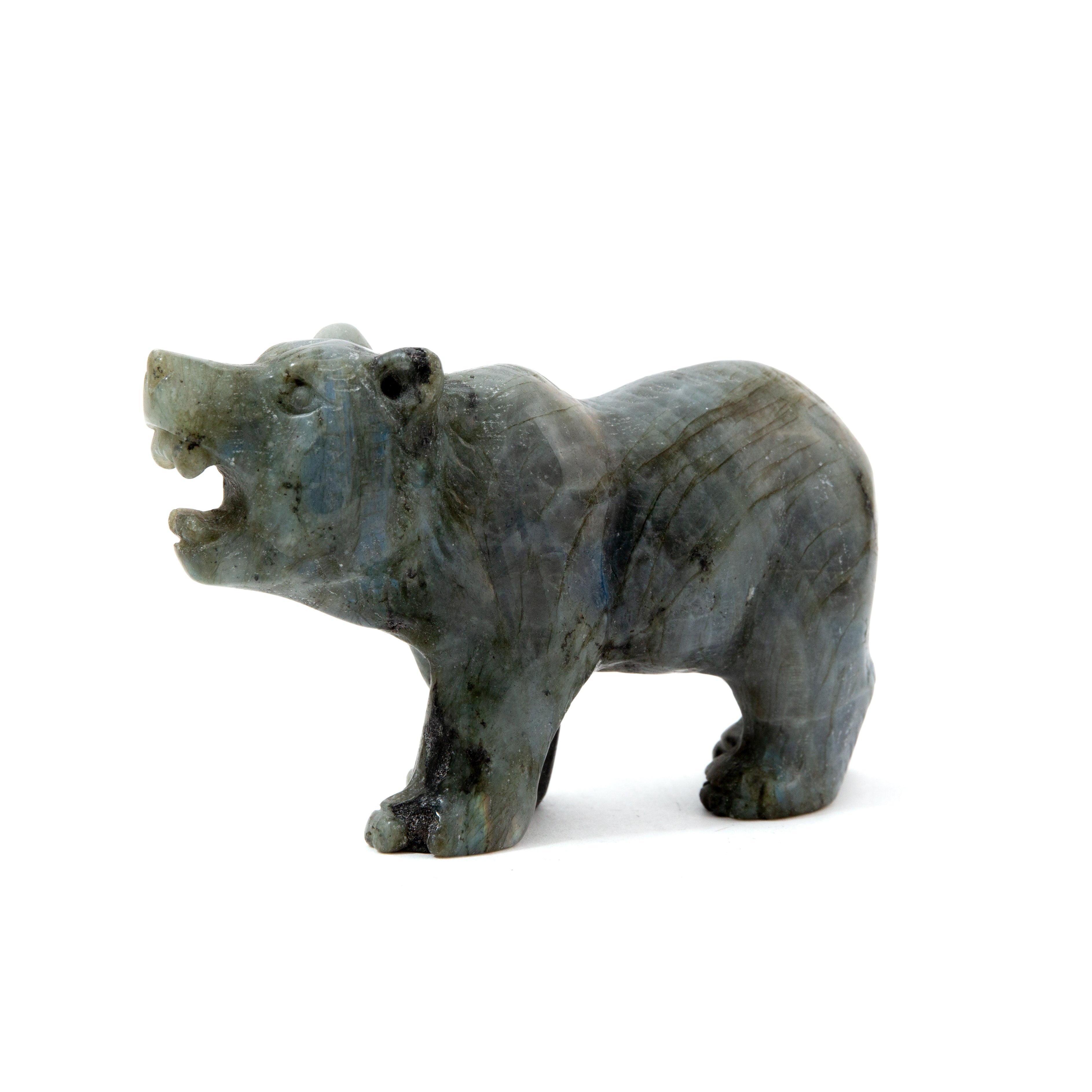 Bear - Labradorite