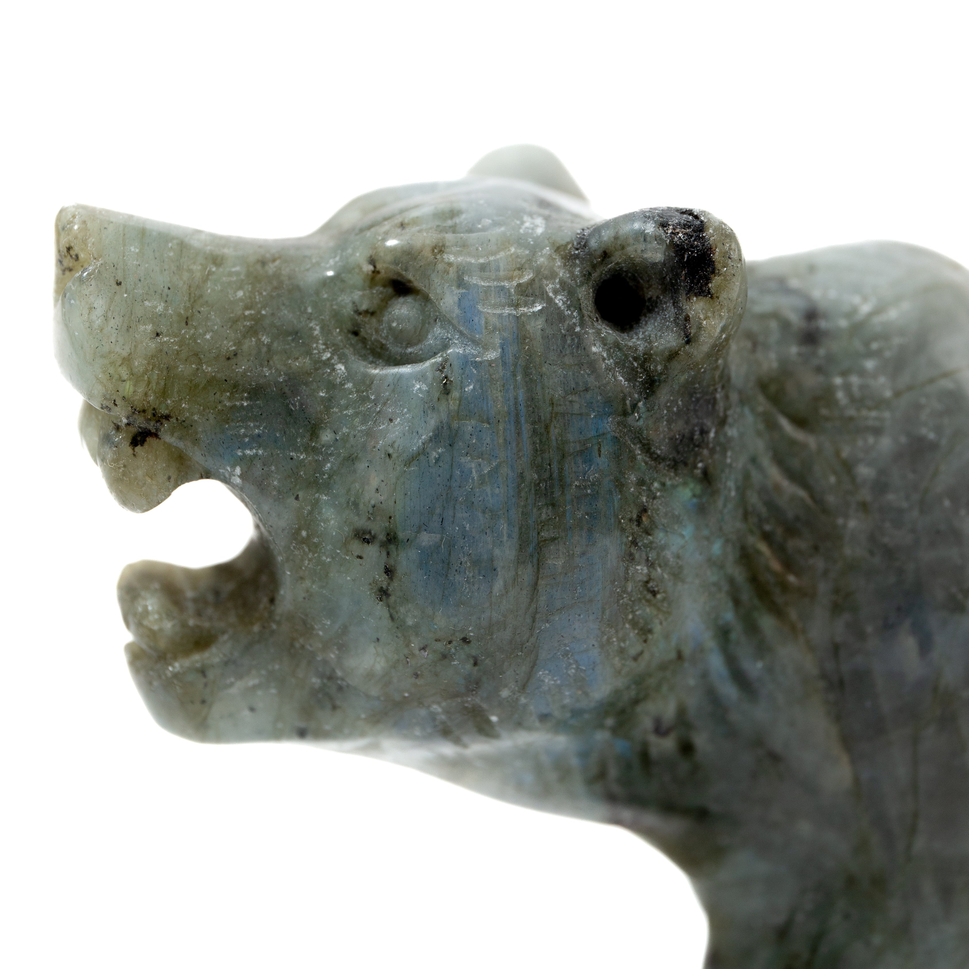 Bear - Labradorite