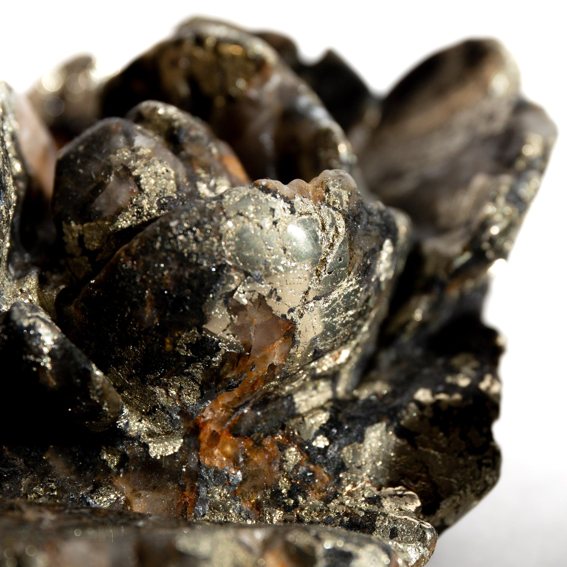 Rose - Pyrite with Quartz