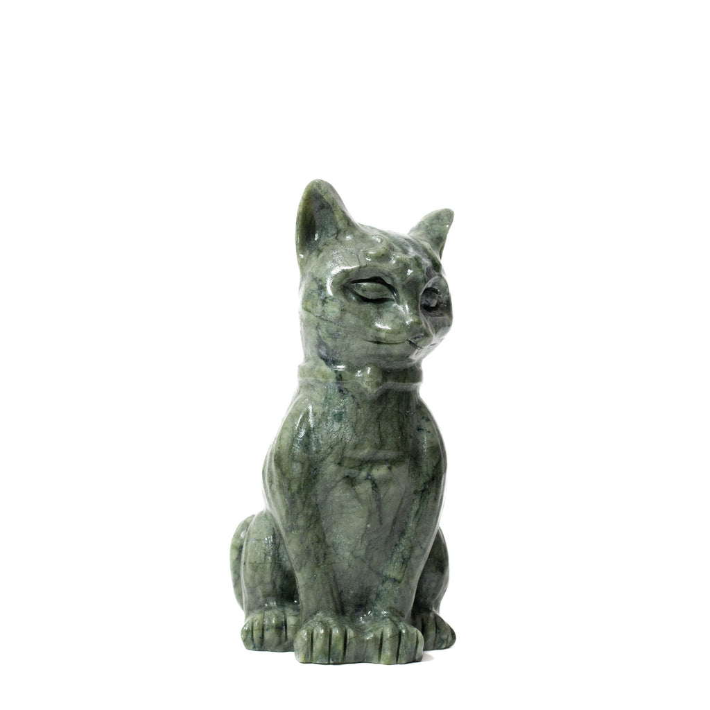 Serpentine - Cat