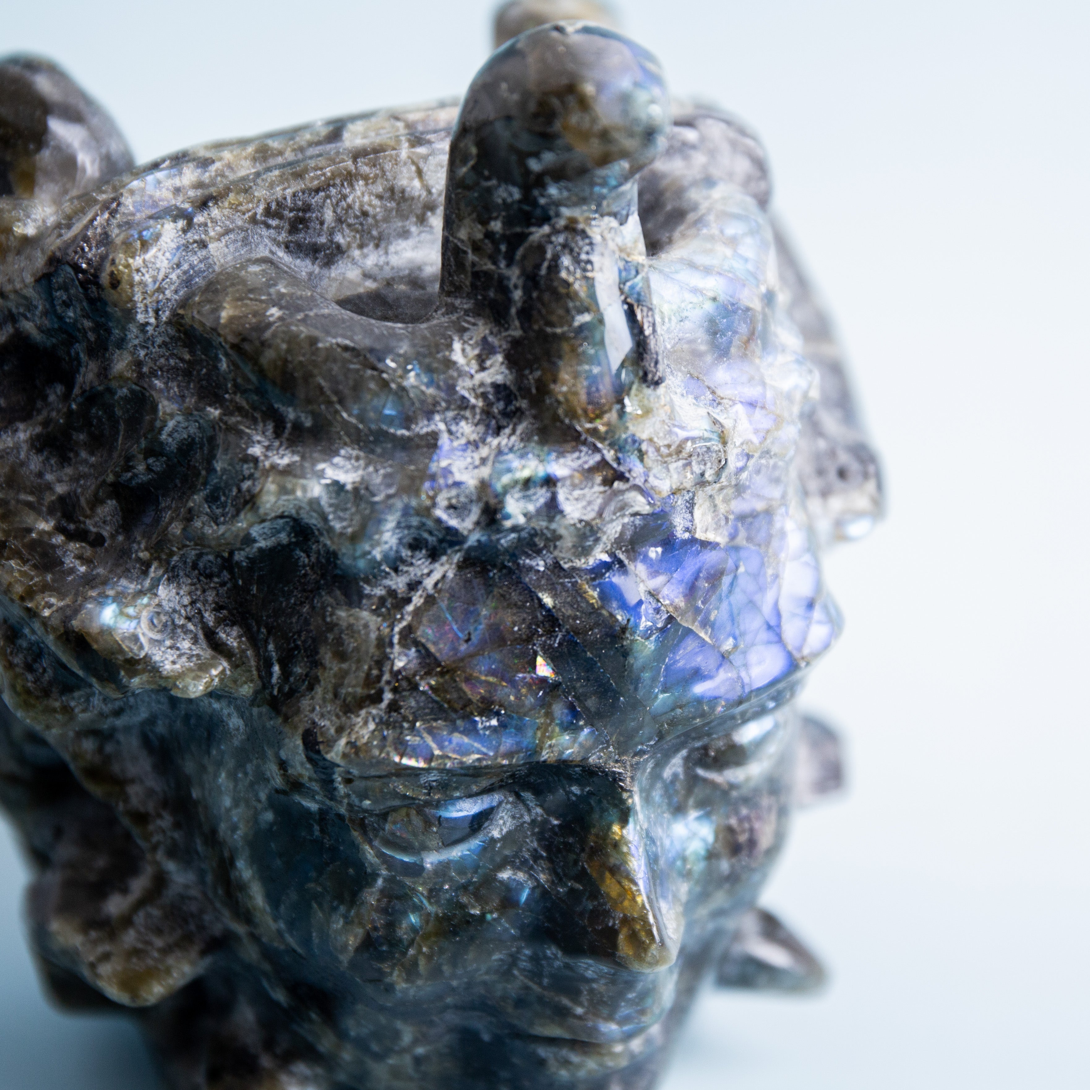 Labradorit Medusa - 1600g