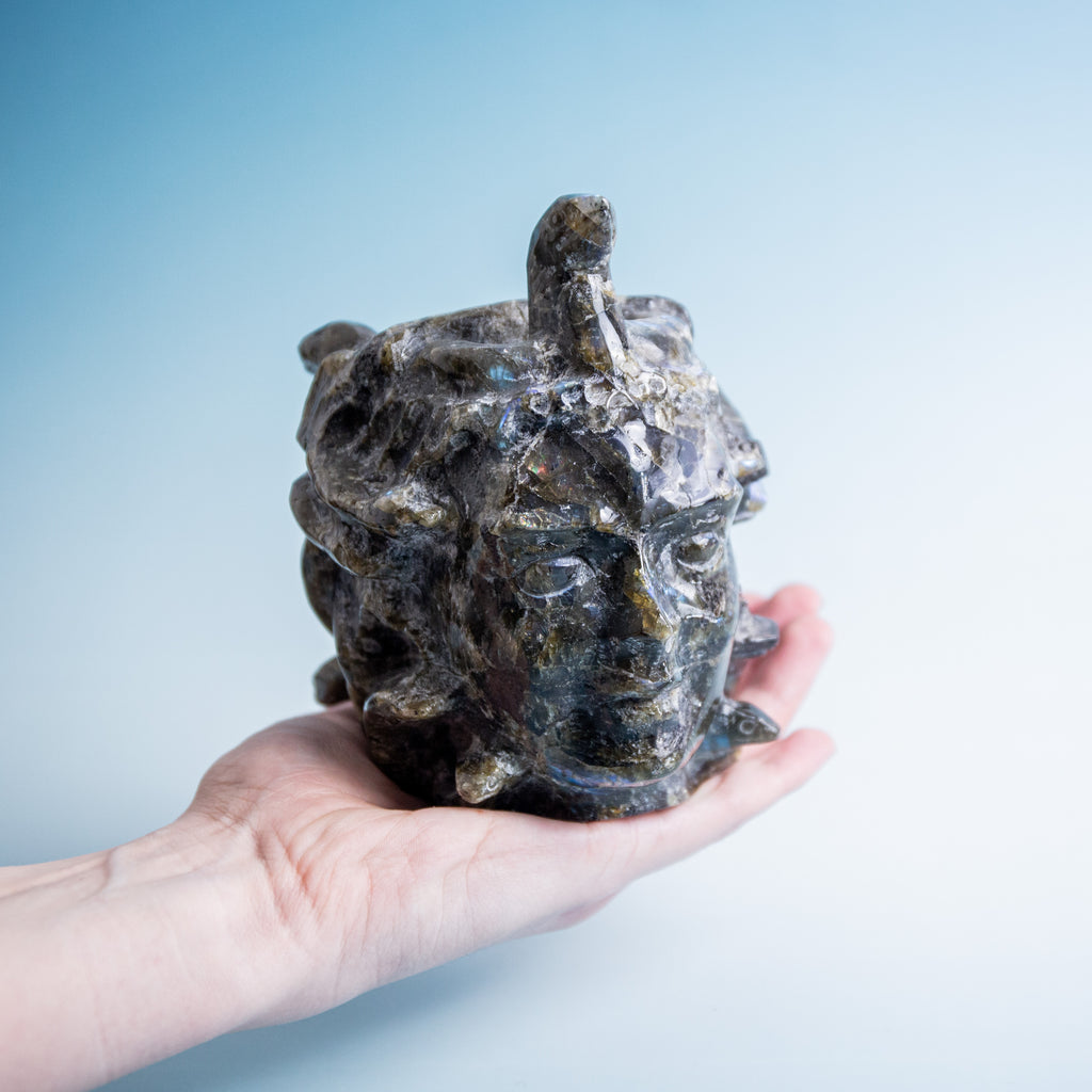 Labradorit Medusa - 1600g