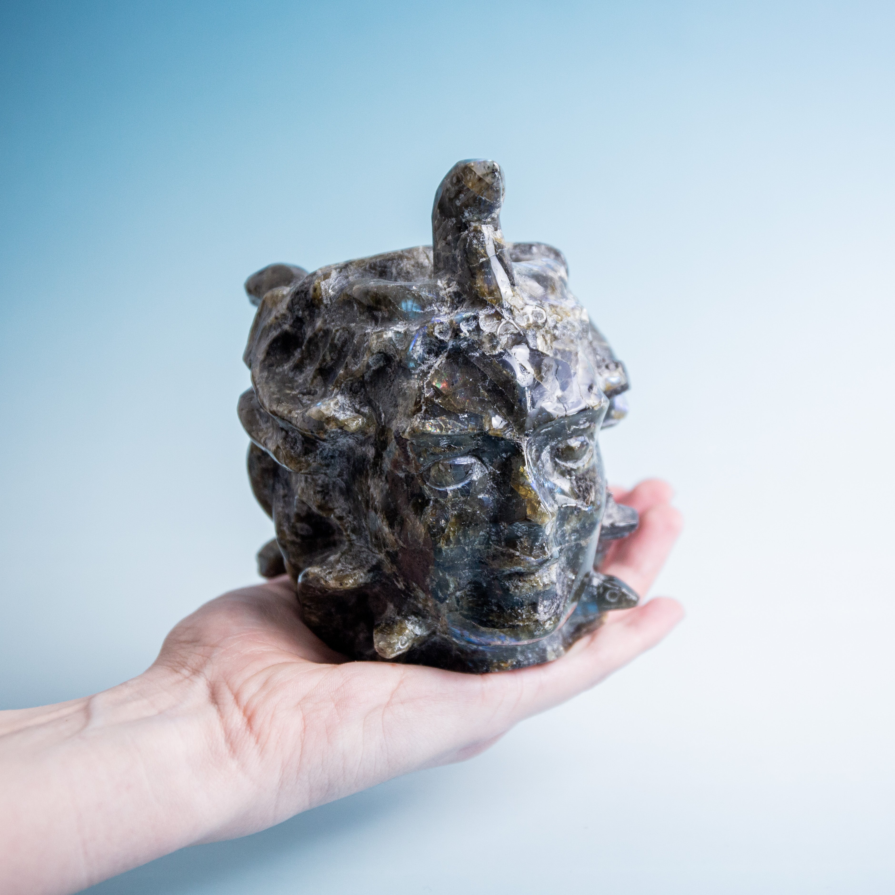 Labradorit Medusa - 1600g