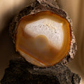 Agate slice