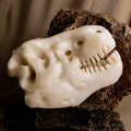 Dinosaur Skull - Calcite