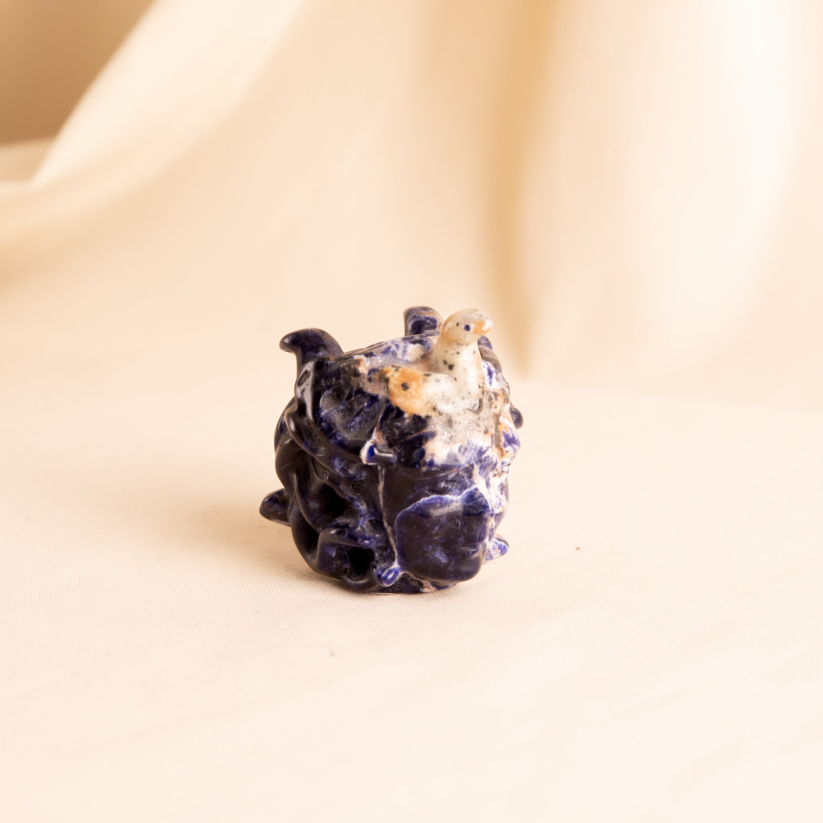 Sodalite Medusa