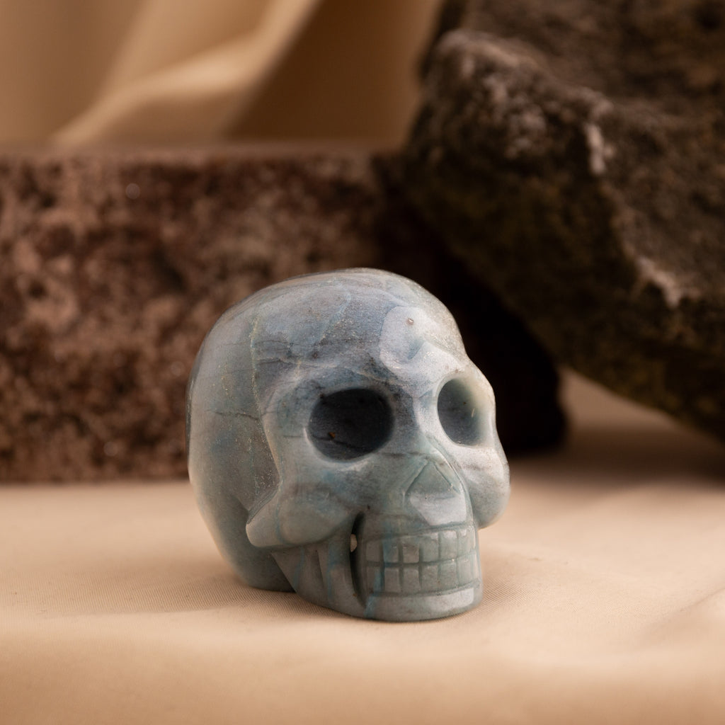 Trolleite -Skull