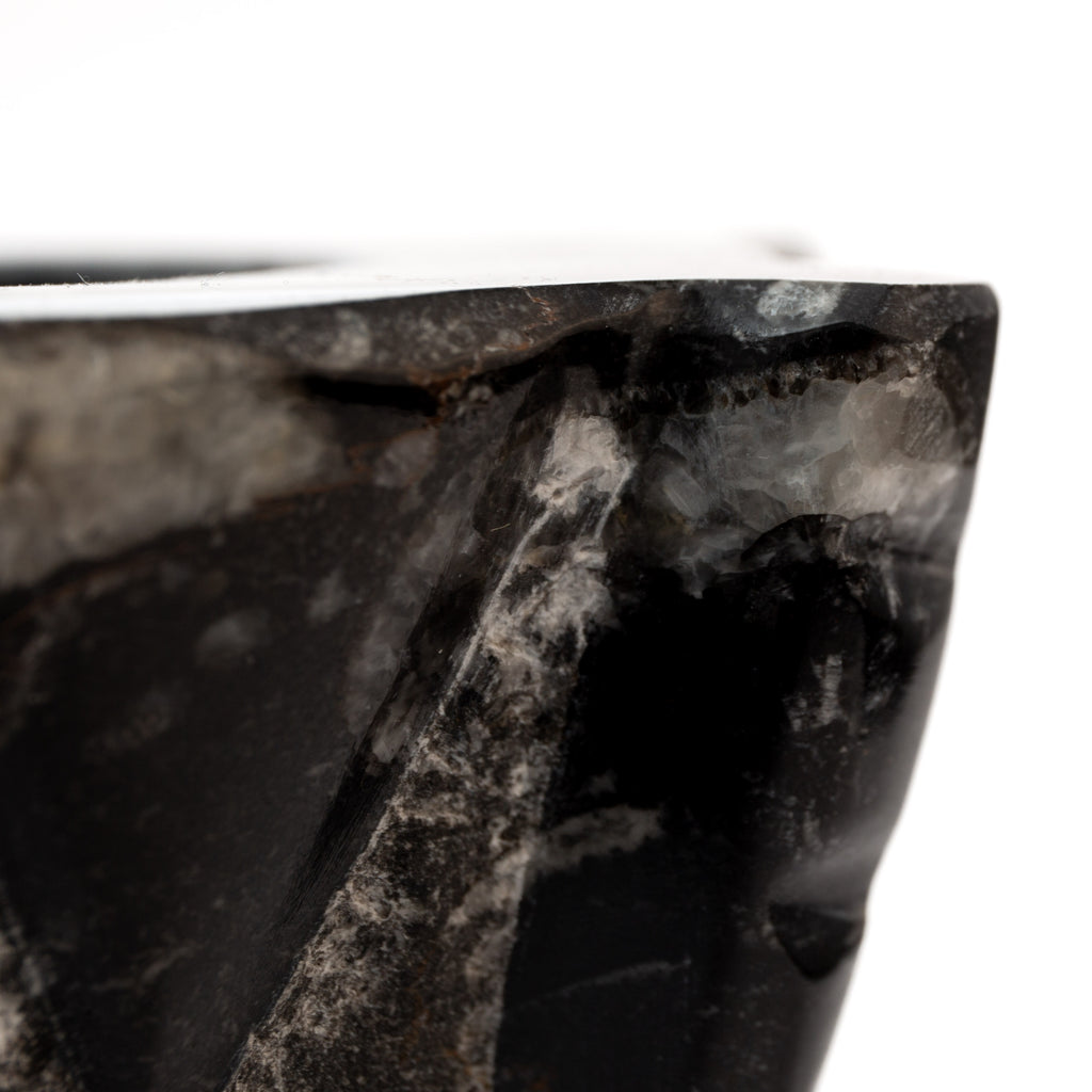 Orthocerasz Mortar - 2kg