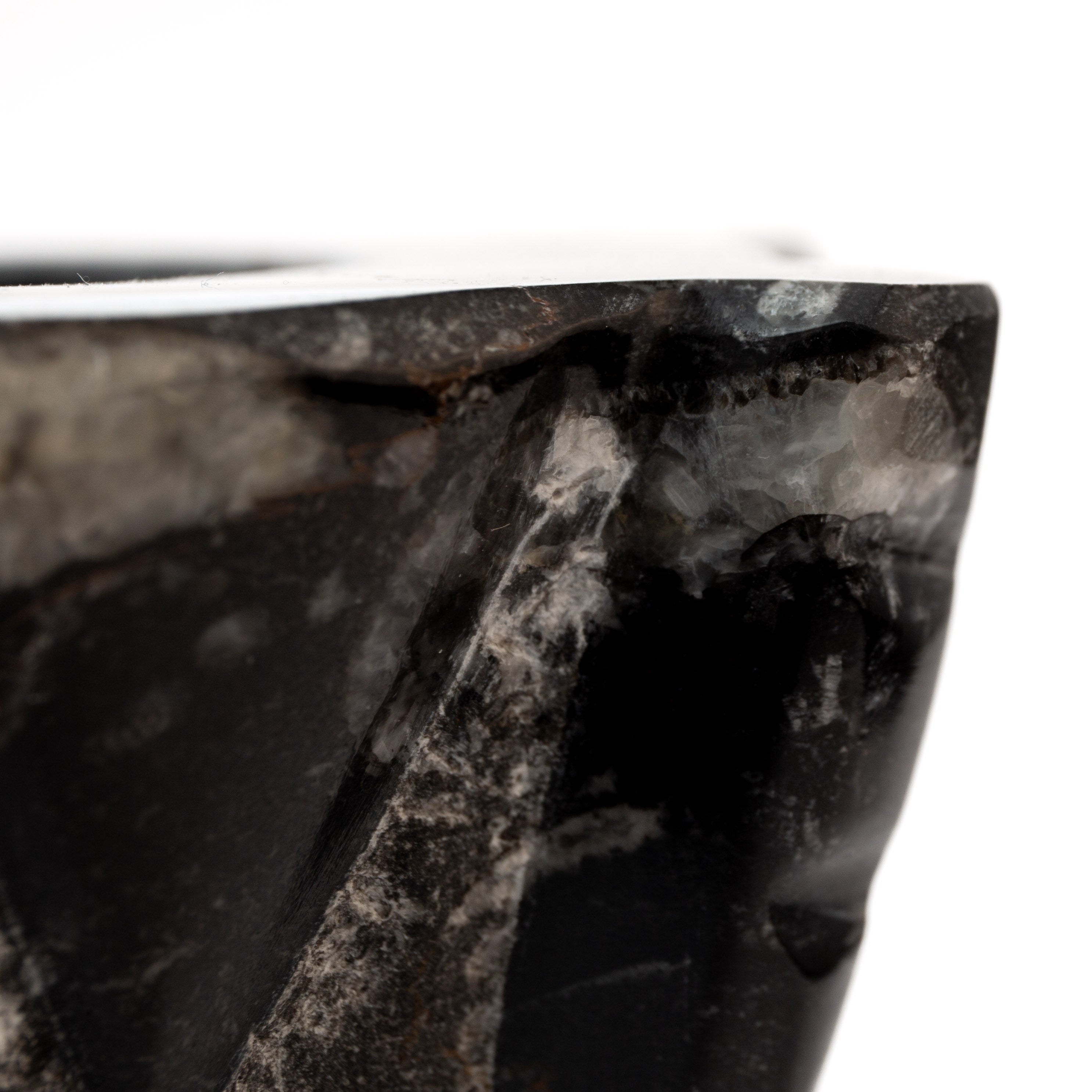 Orthocerasz Mortar - 2kg