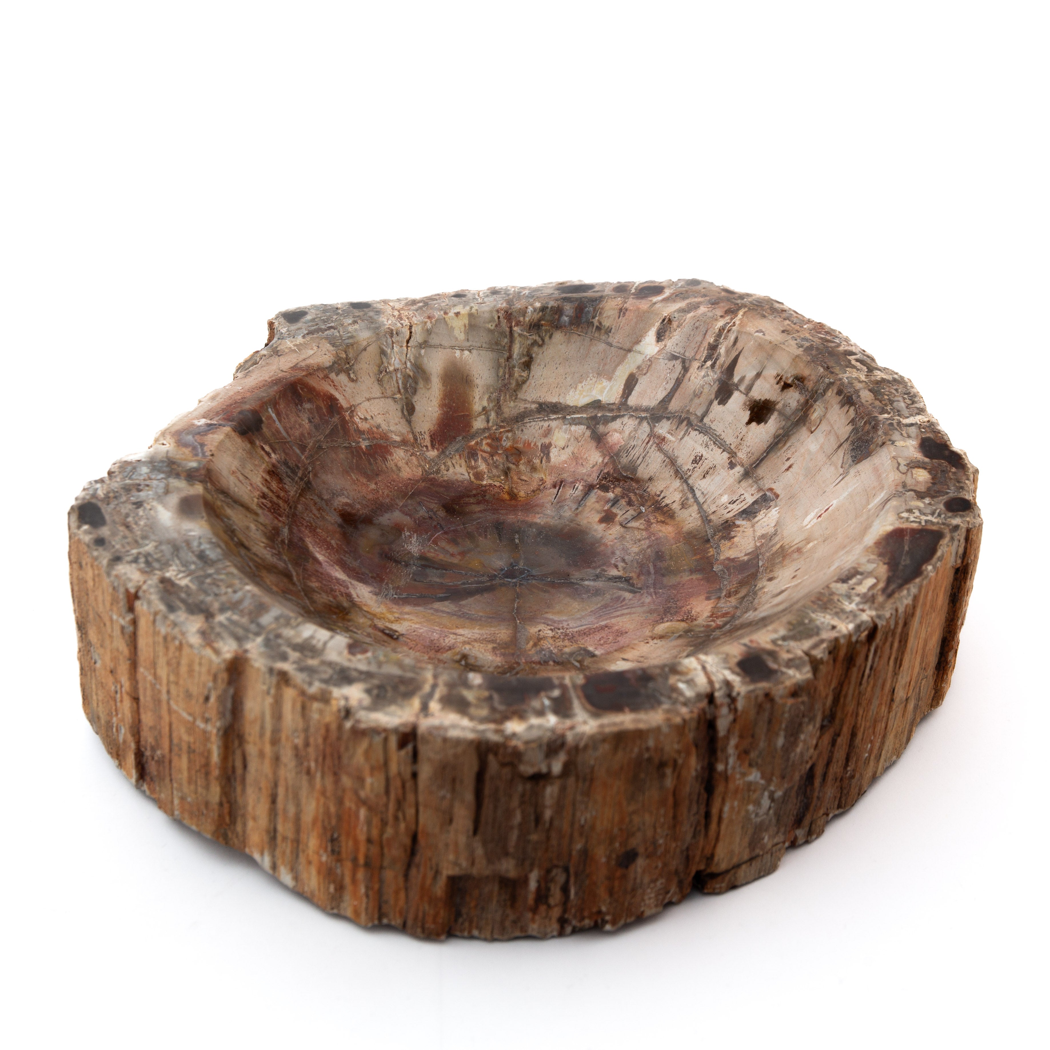 Megkövesedett Fa - 4.3kg