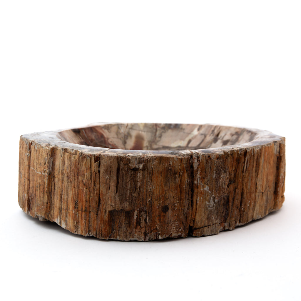 Megkövesedett Fa - 4.3kg