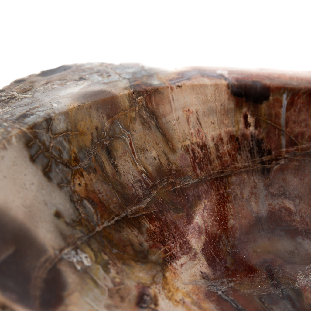 Megkövesedett Fa - 4.3kg