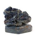 Sodalite Frog - 1.2kg