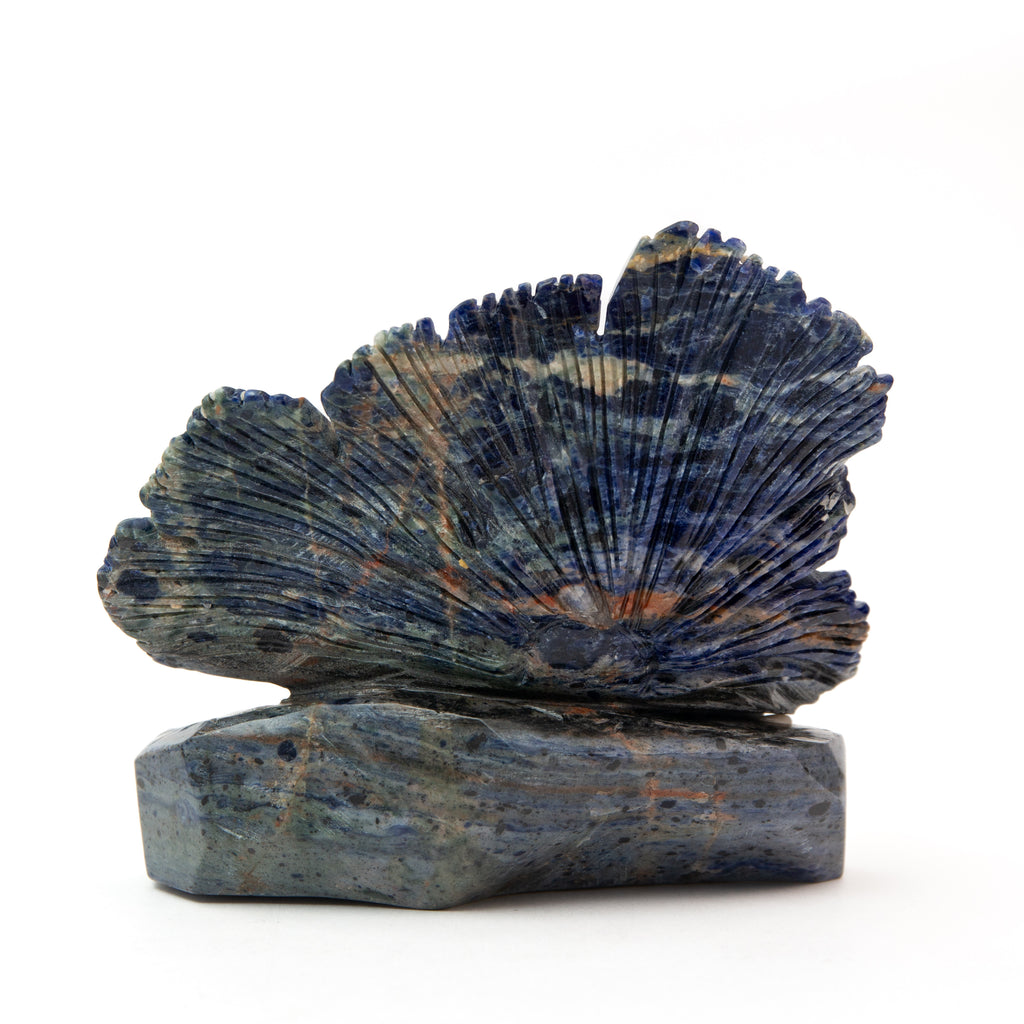 Sodalite Frog - 1.2kg