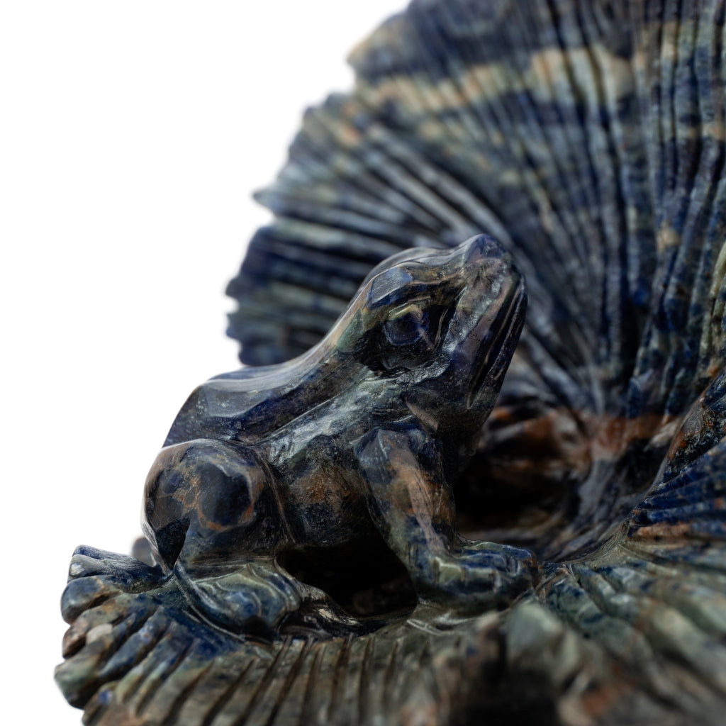 Sodalite Frog - 1.2kg