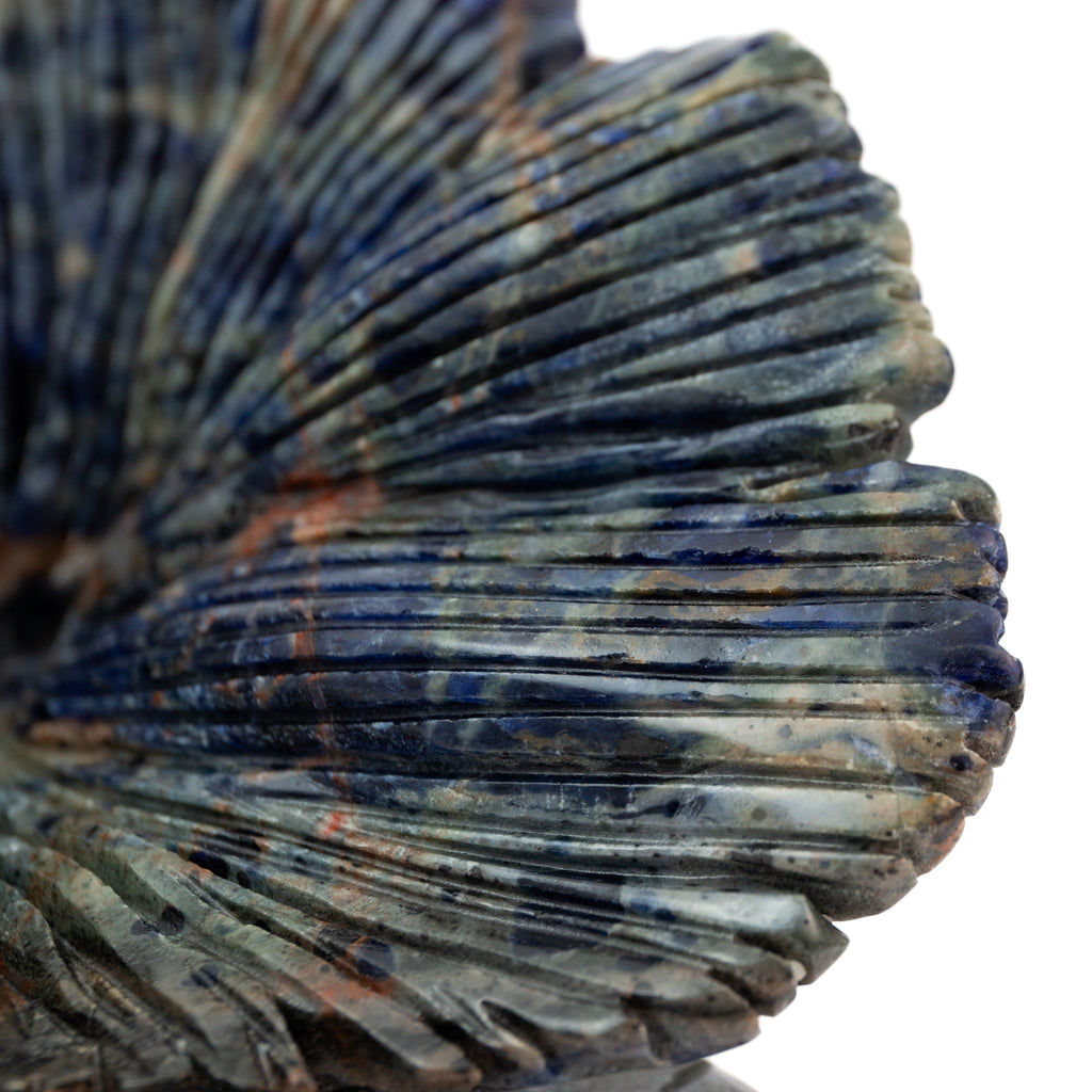 Sodalite Frog - 1.2kg