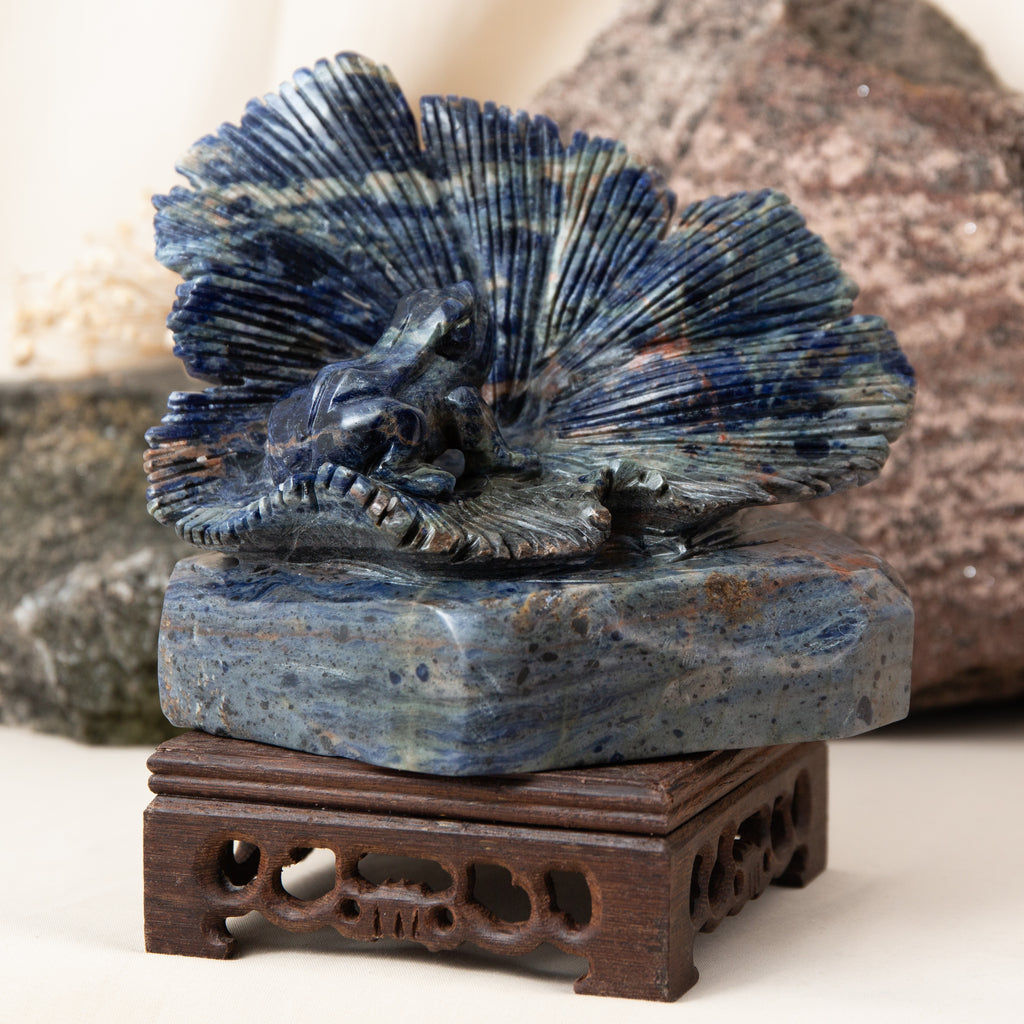 Sodalite Frog - 1.2kg